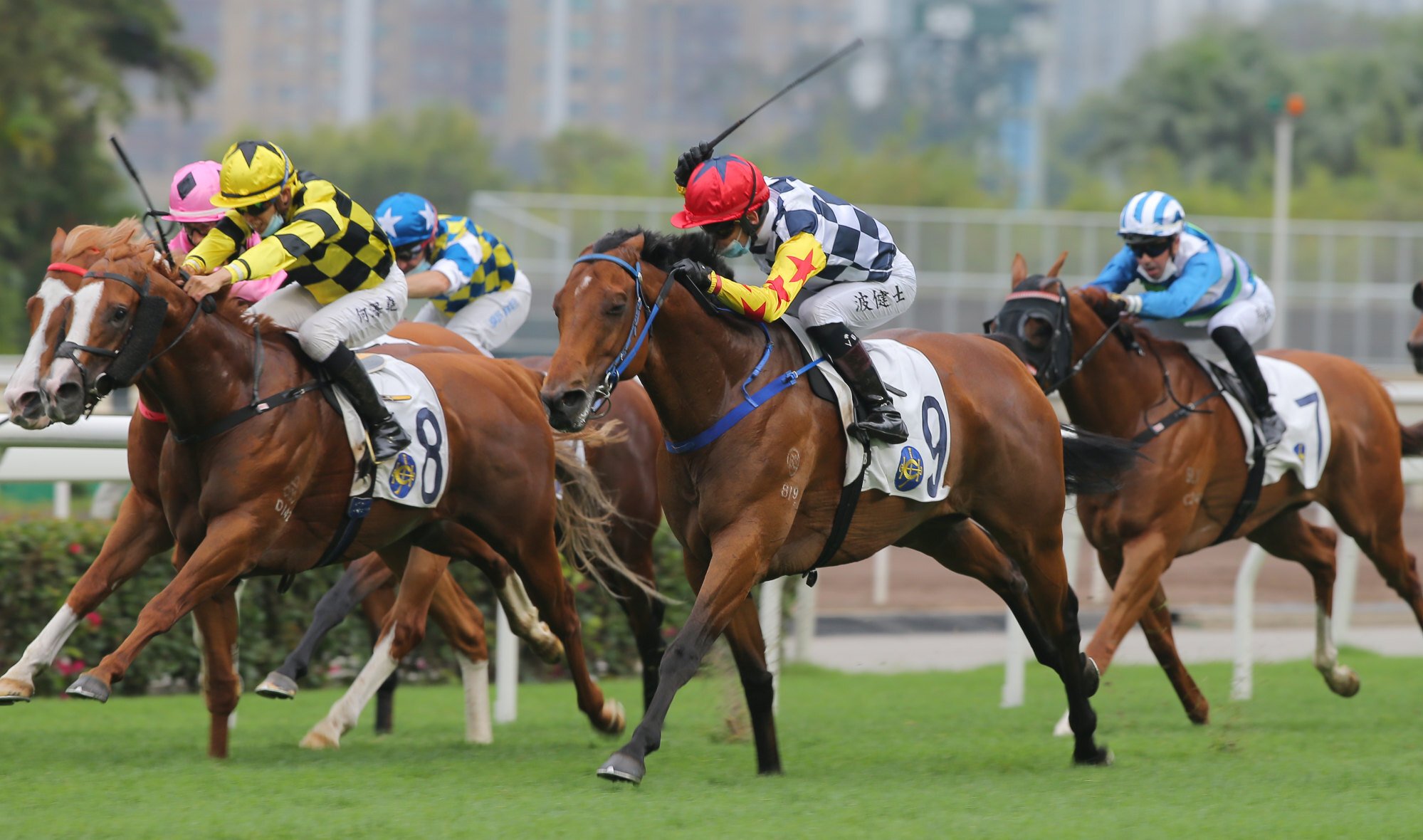 Vagner Borges goes for home on Amazing Star at Sha Tin. 