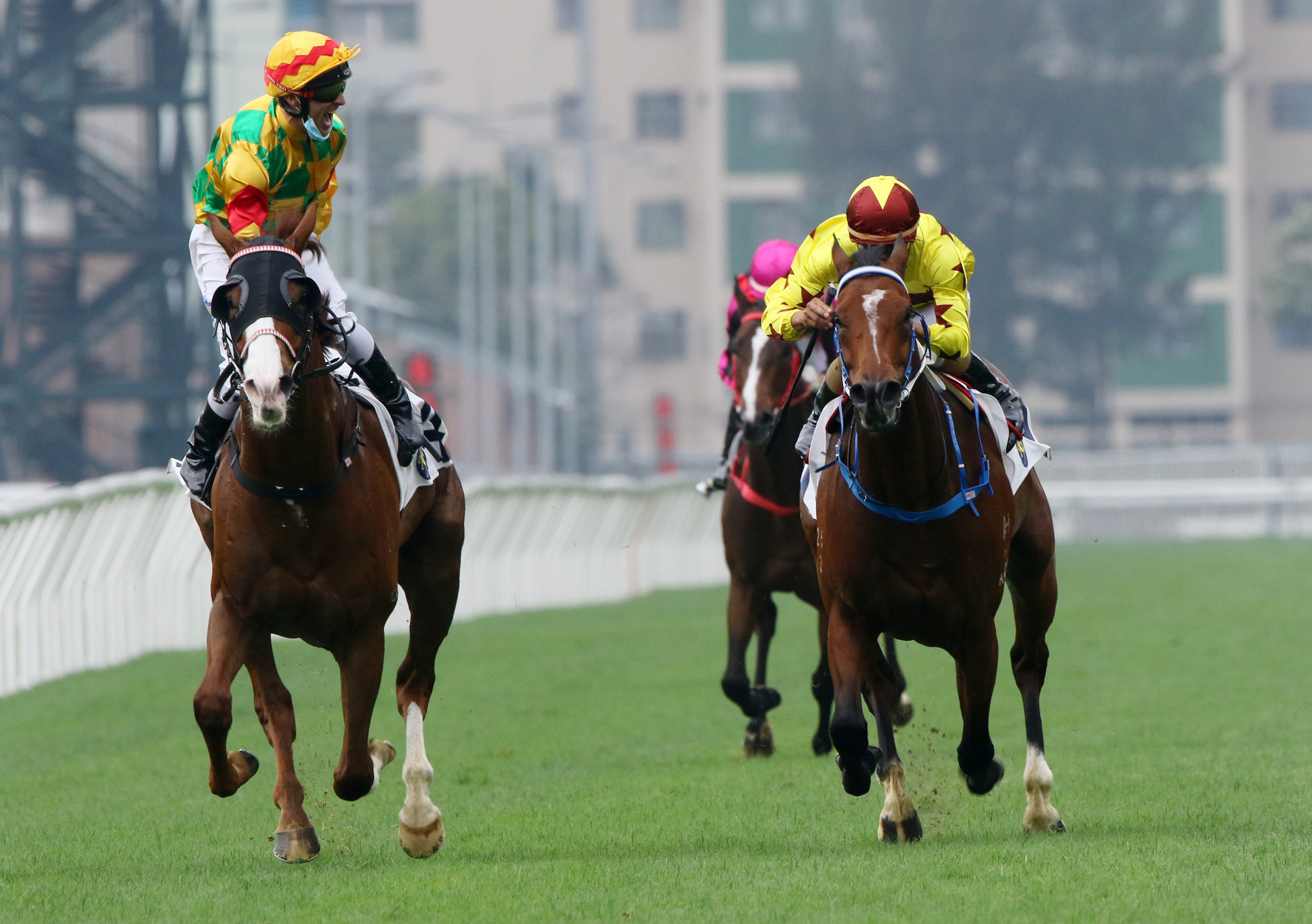 Neil Callan lets out a roar as Mighty Giant crosses the finish line.