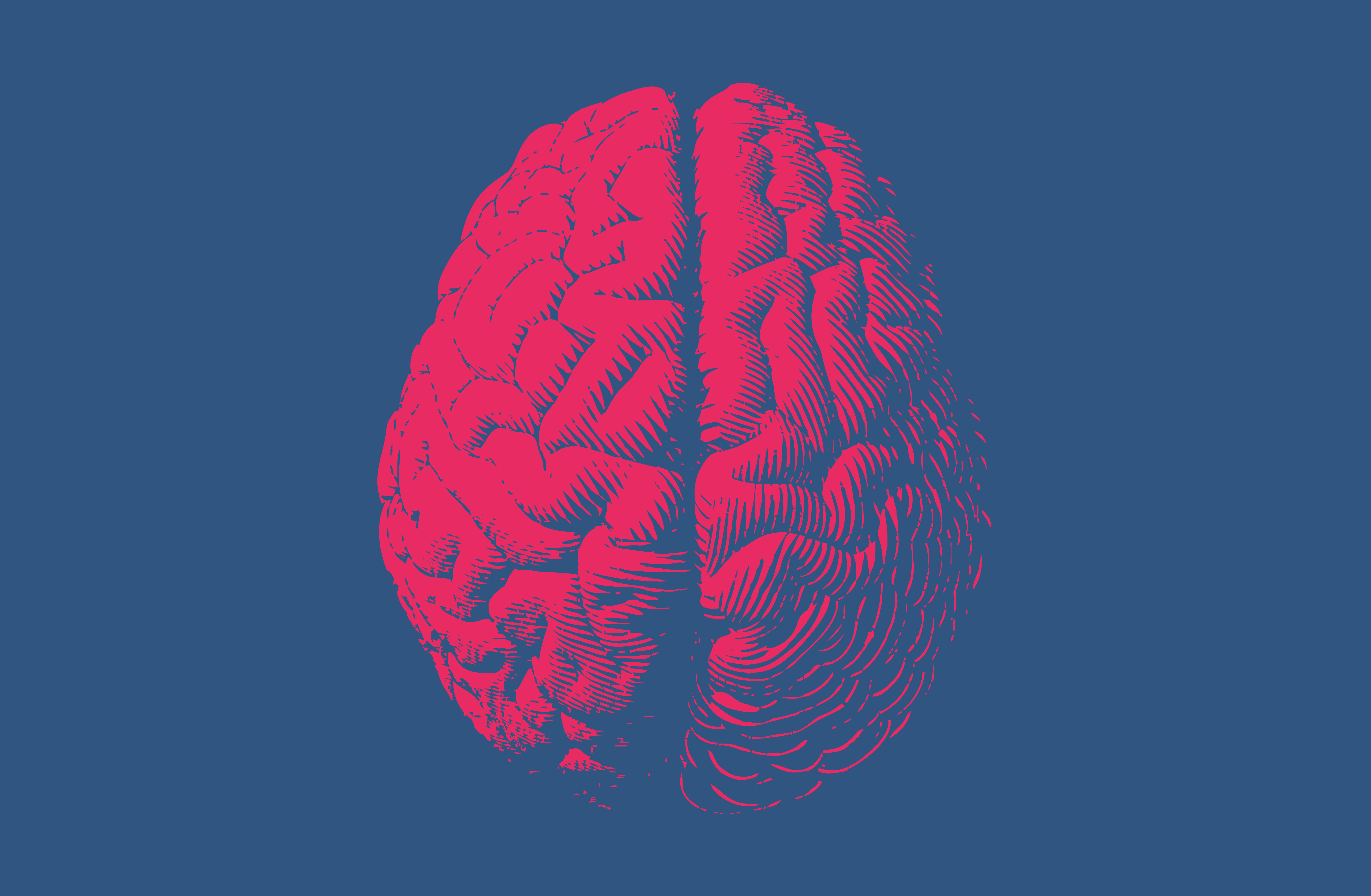 Jeff Hawkins: Thousand Brains Theory of Intelligence