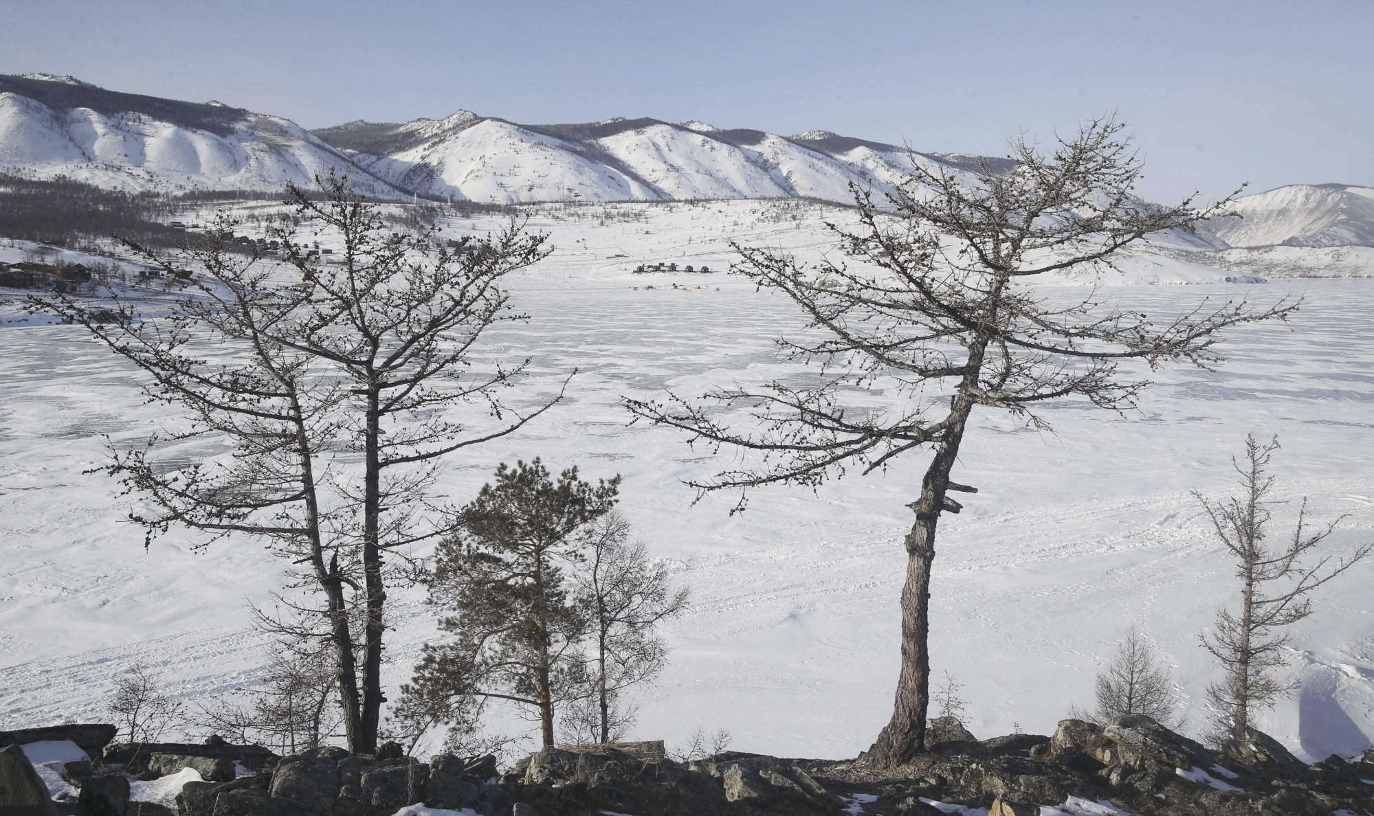 Trees on the shore of a snowed-over Lake Baikal. Photo: Natalia Fedosenko\TASS via Getty Images