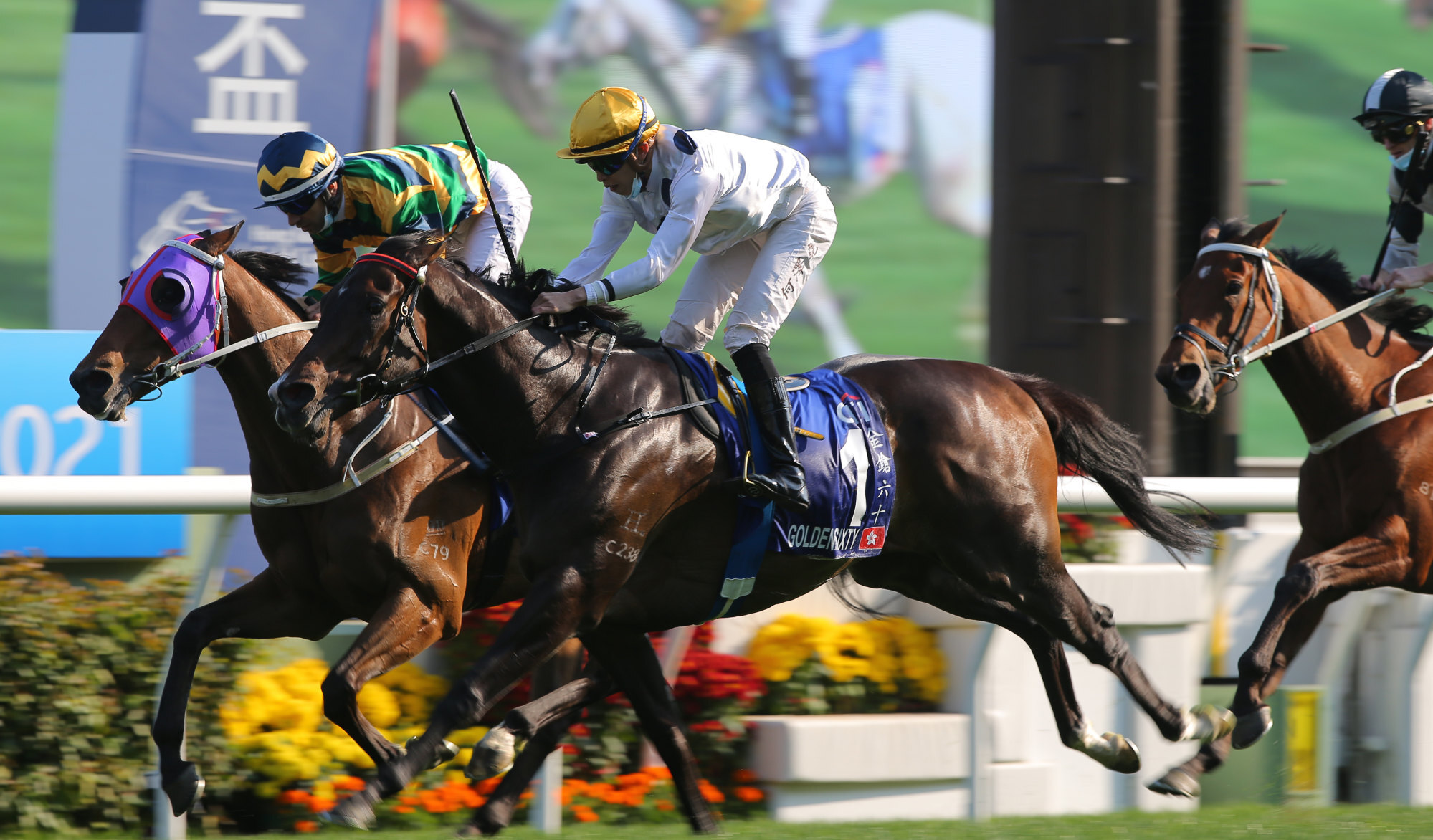 Golden Sixty beats Furore to claim the Group One Hong Kong Gold Cup. Photo: Kenneth Chan