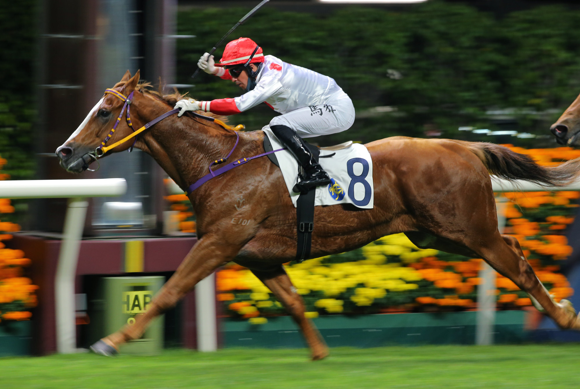 Ruan Maia boots home Wine And Wine to victory at Happy Valley on Thursday night. 