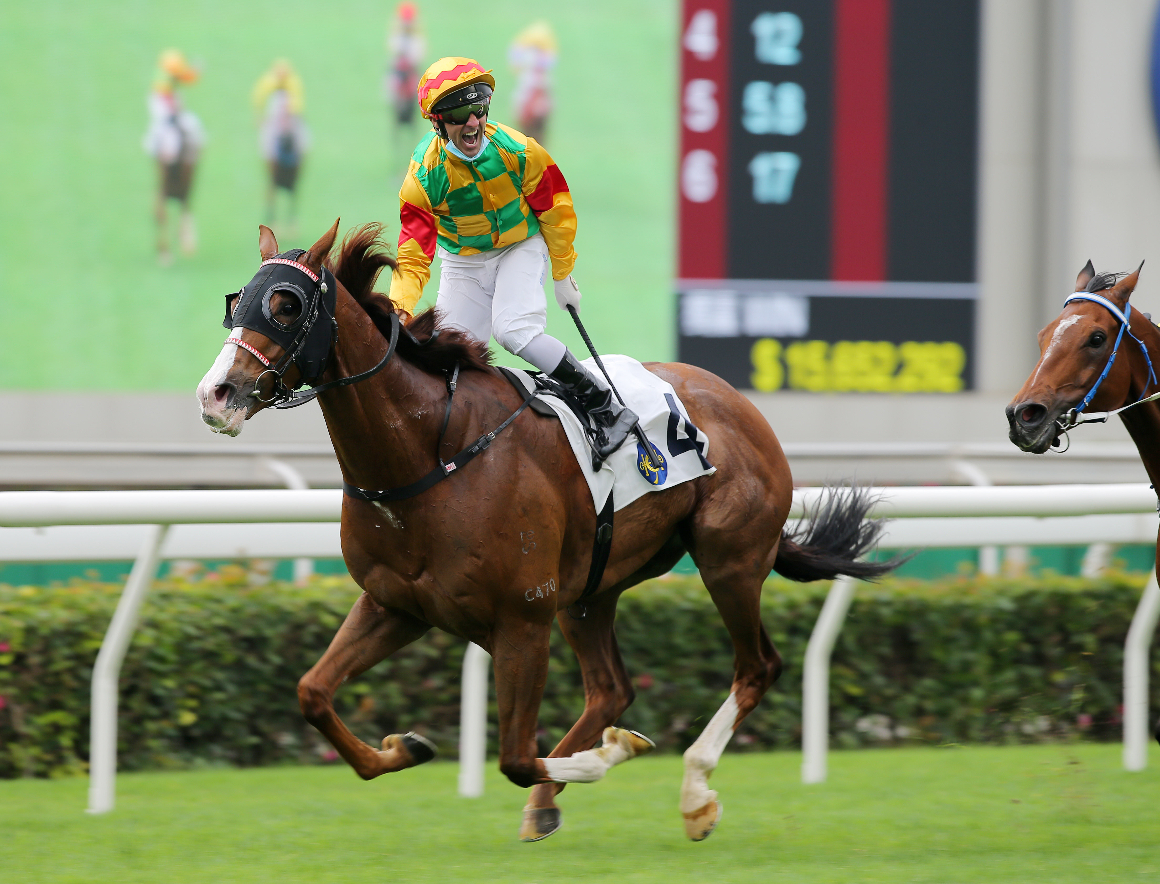 Neil Callan celebrates Mighty Giant’s Group Two victory at Sha Tin last week. Photos: Kenneth Chan 