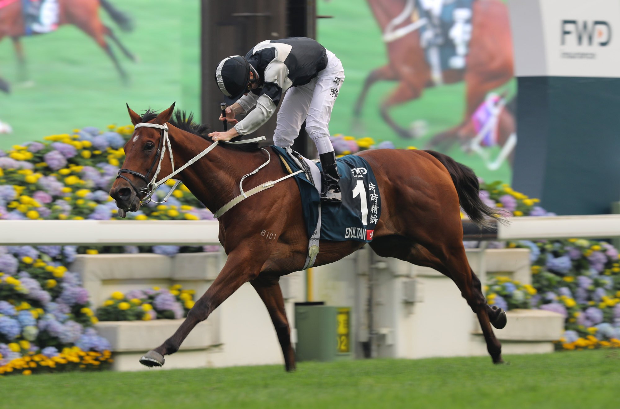 Zac Purton wins the QE II Cup aboard Exultant last year. 