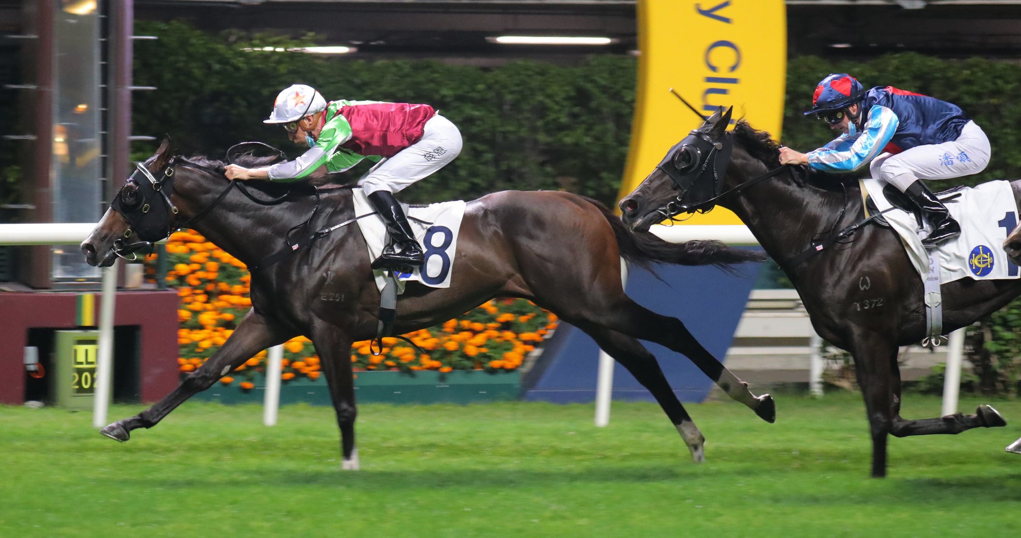 Blake Shinn boots home Showina at Happy Valley on Wednesday night. 