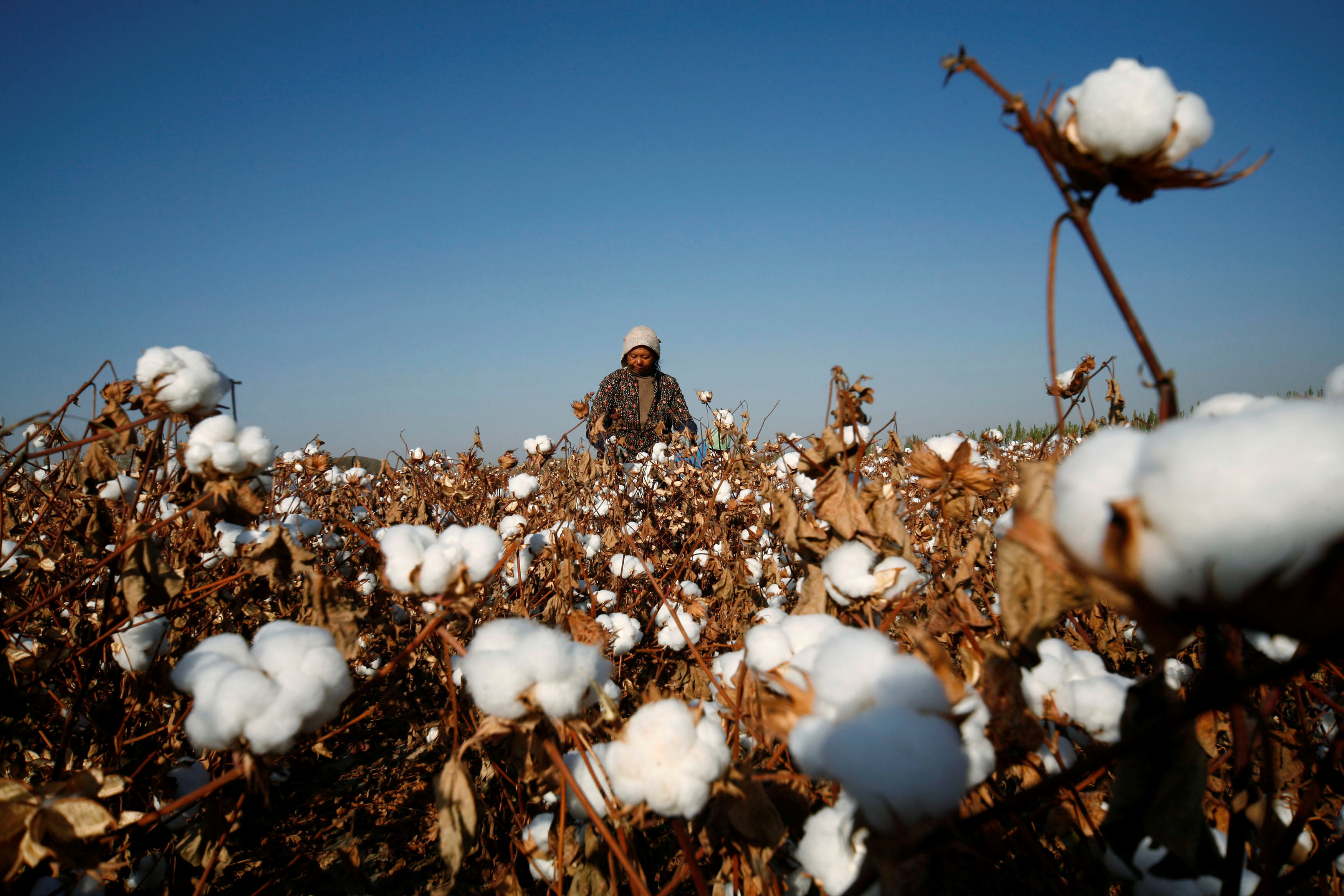 According to its website, the Better Cotton Initiative has 2,096 members around the world, including retailers, brands, suppliers and manufacturers, with 491 in China. Photo: Reuters