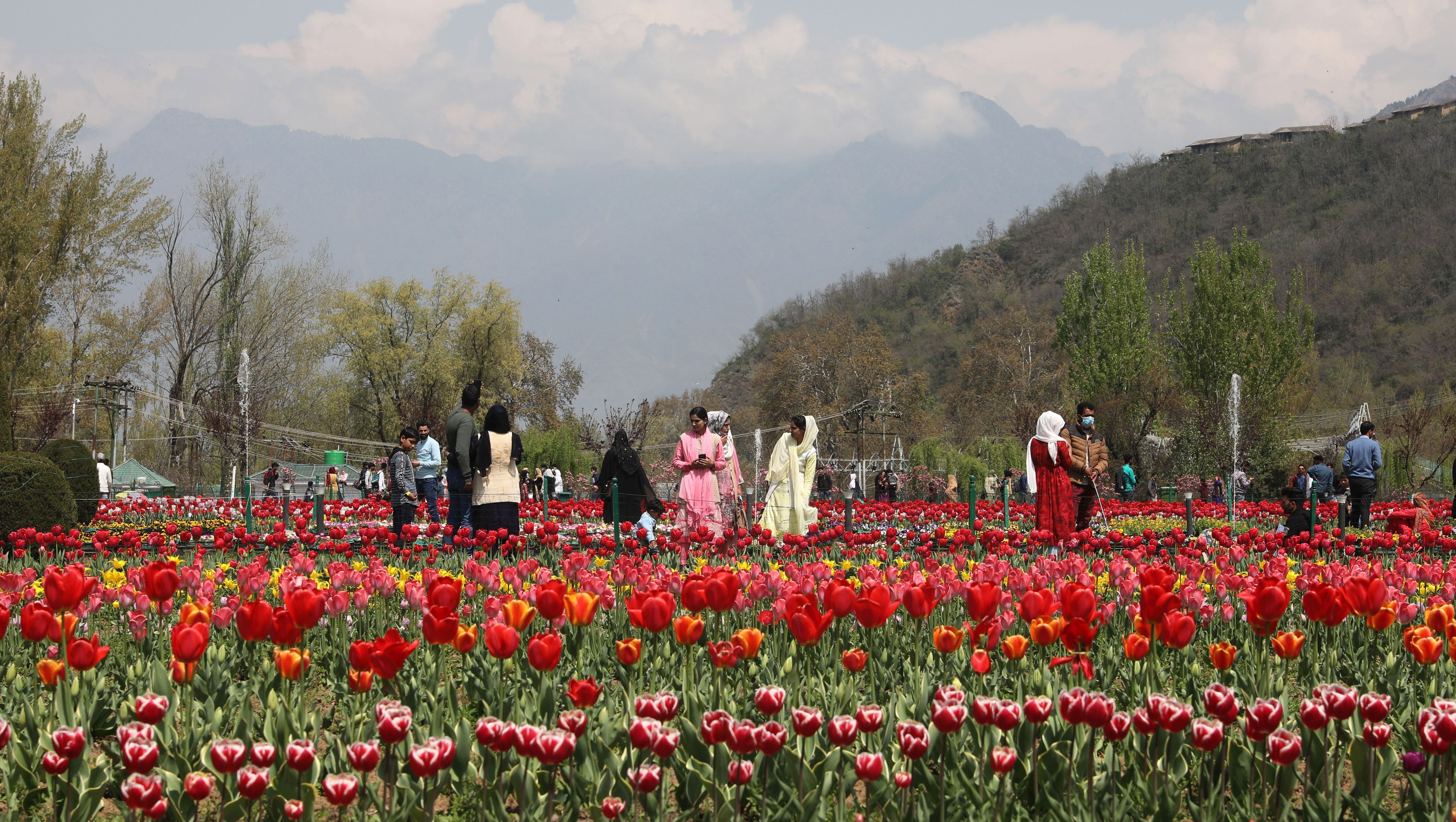 Visitors at the Tulip Garden in Srinagar. Photo: EPA-EFE