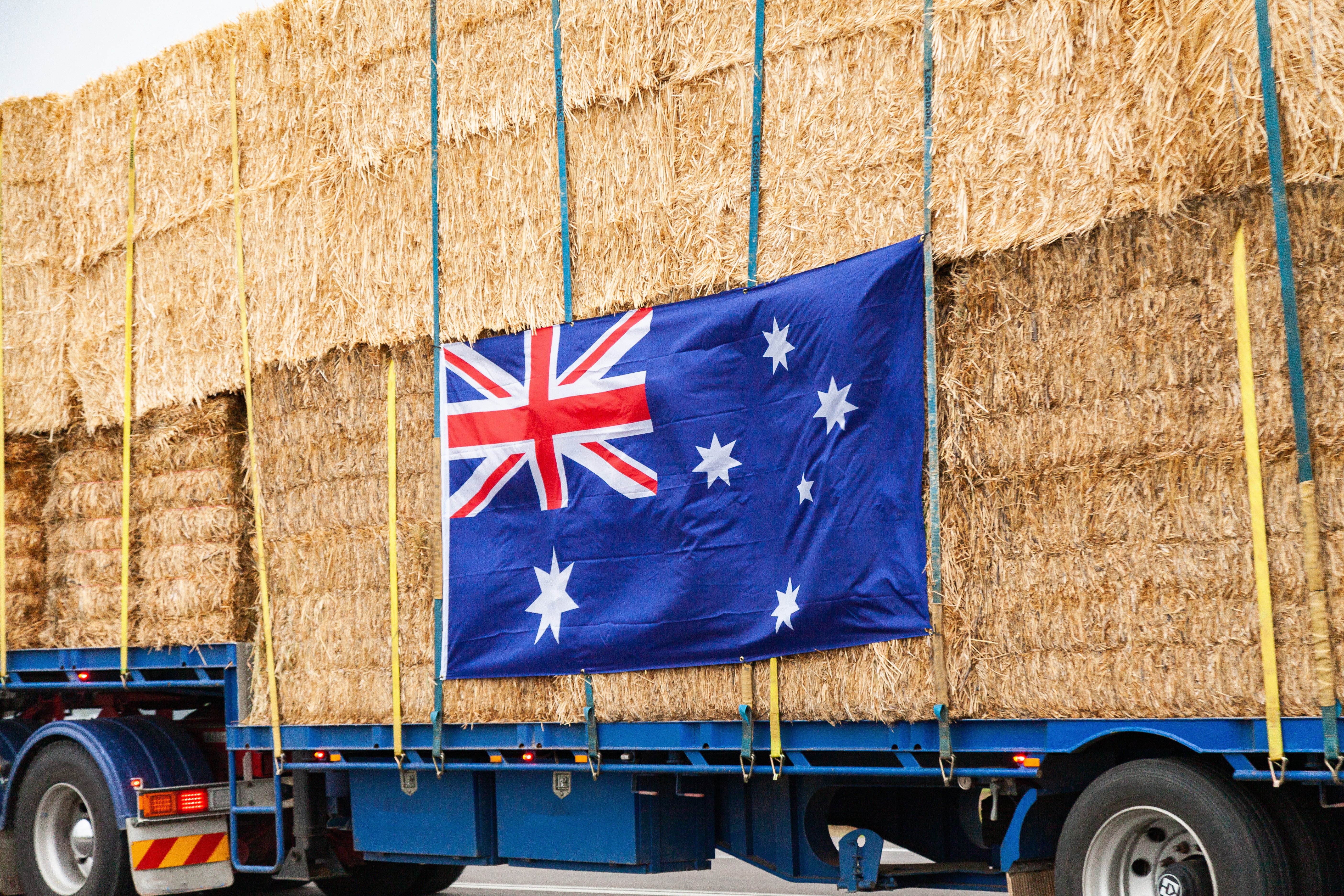 Two months after their expiration, Chinese import permits for hay from 25 Australian businesses have not been renewed. Photo: Shutterstock