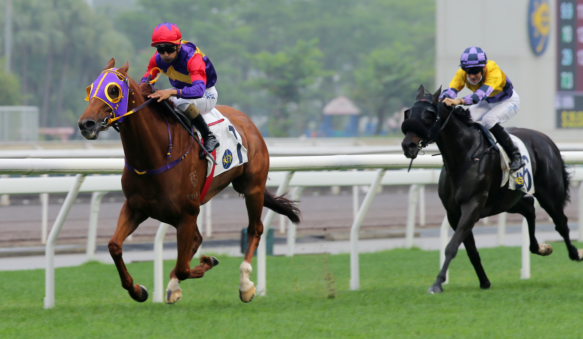 Shanghai Dragon holds off his rivals to win at Sha Tin on Saturday. 
