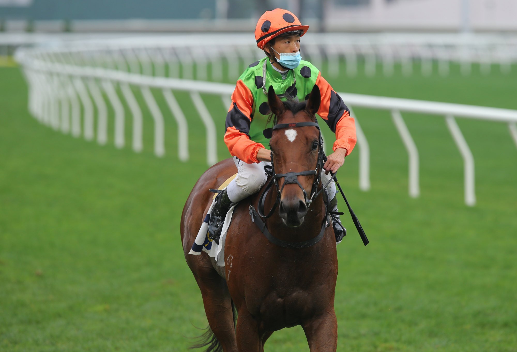 Vincent Ho returns on Carroll Street after winning at Sha Tin on Saturday. 