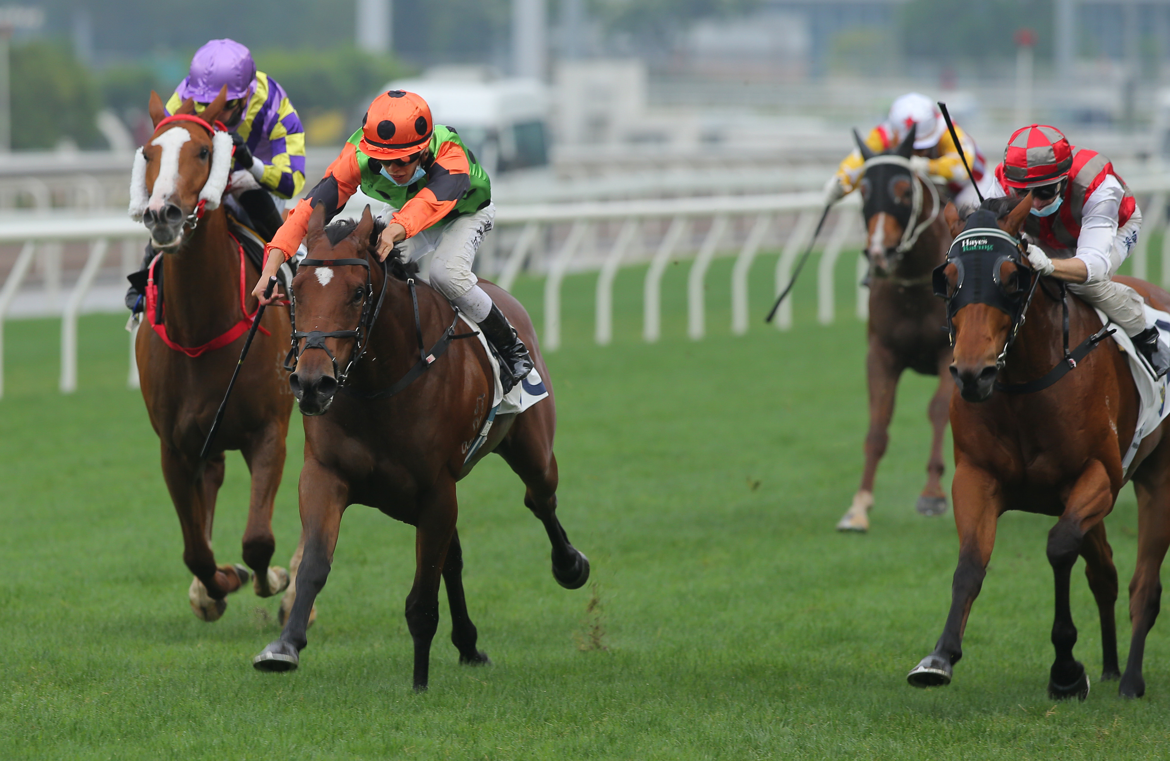 Vincent Ho goes for home on Carroll Street to win at Sha Tin on Saturday. Photos: Kenneth Chan 