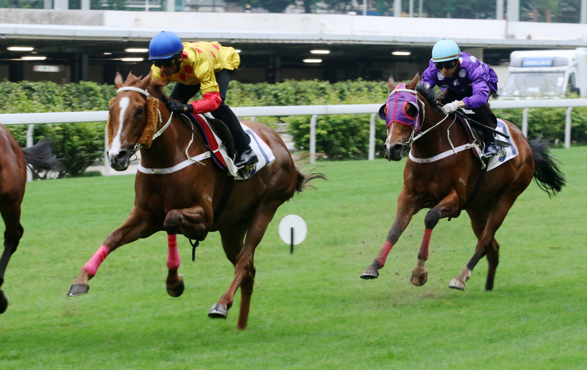 Gold Win trials at Happy Valley in 2019.