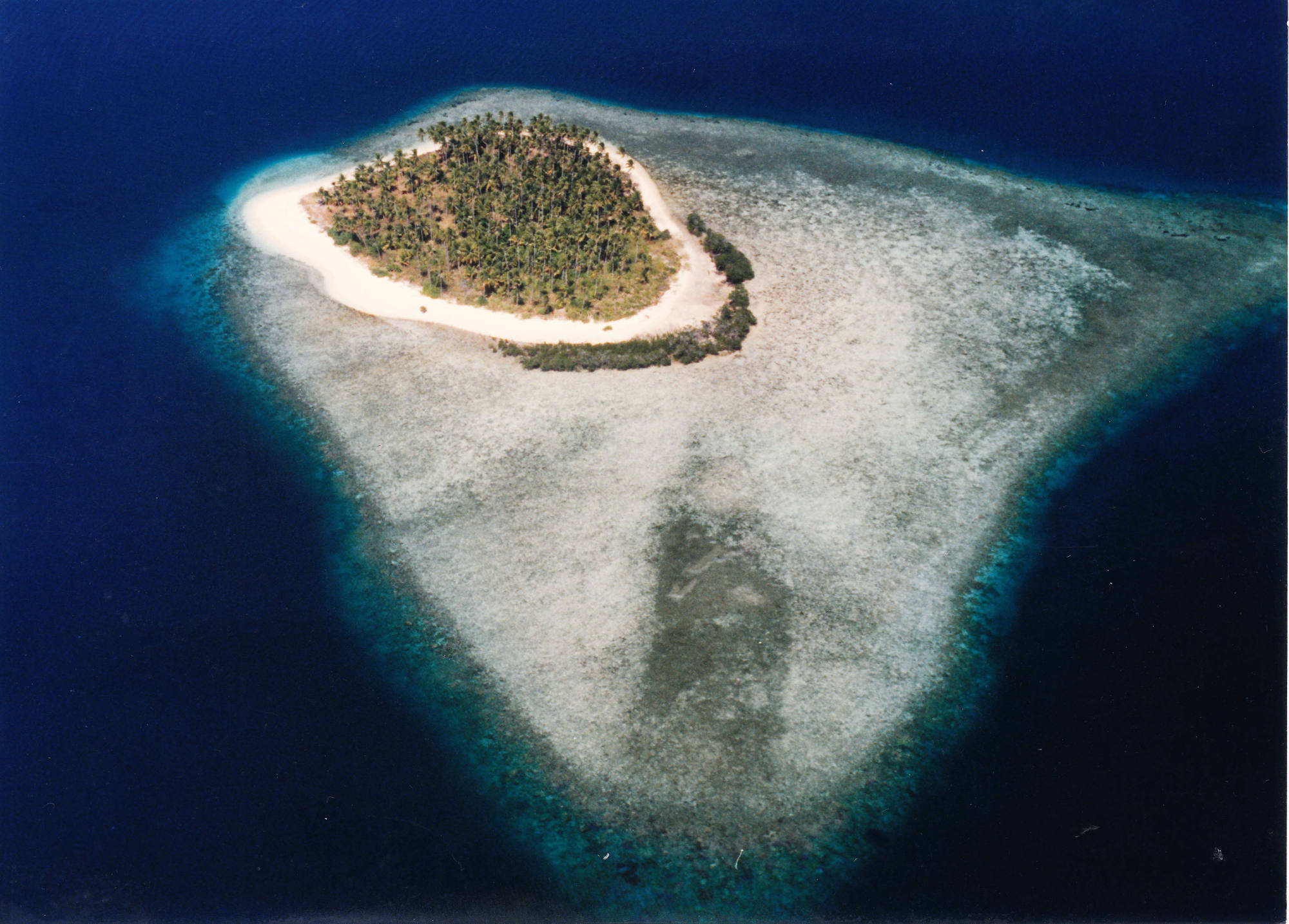 Marcus Uy’s Renambacan atoll consists of baby-powder beaches, mangroves and coconut trees. Photo: Marcus Uy