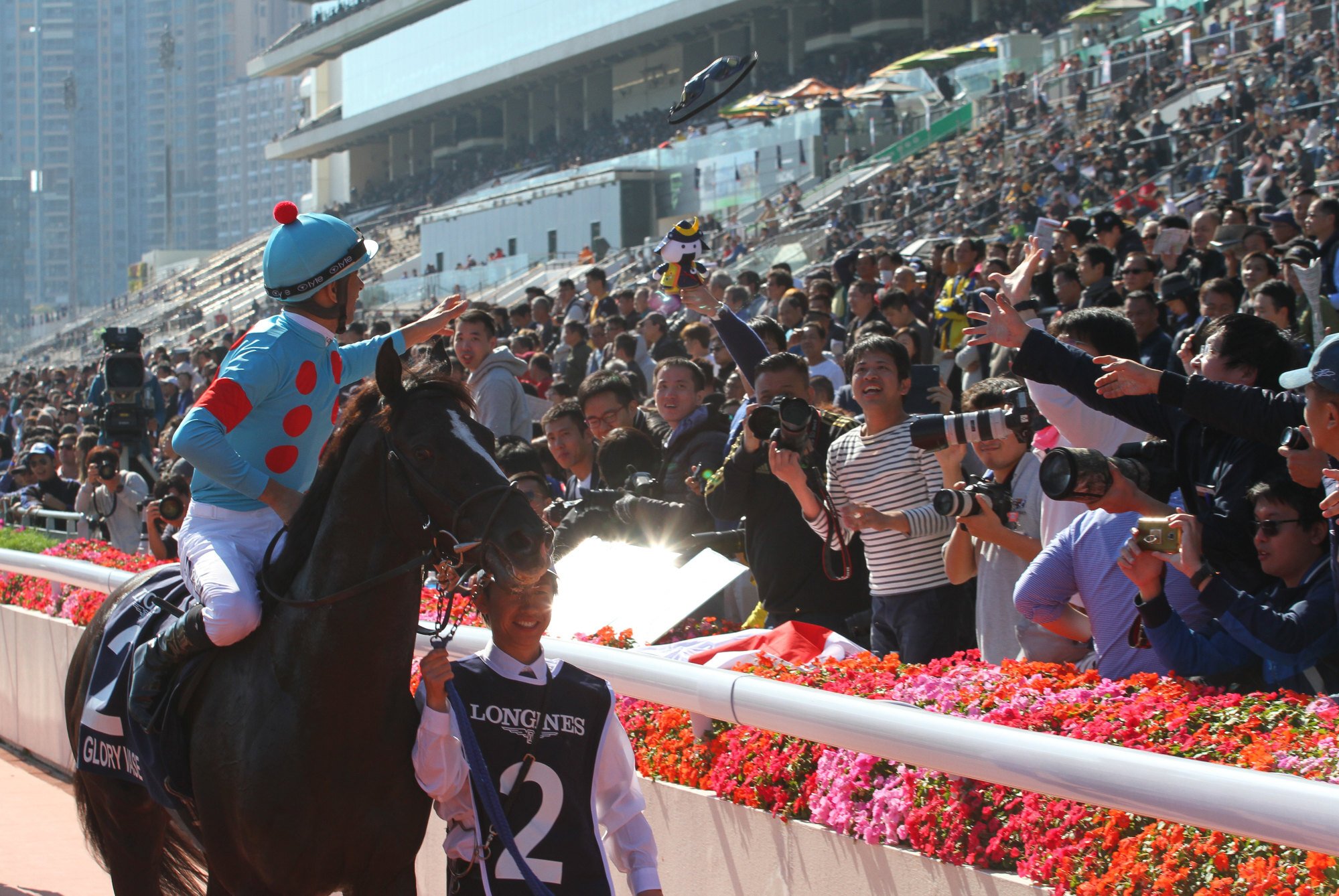Glory Vase returns to scale after winning the 2019 Hong Kong Vase.