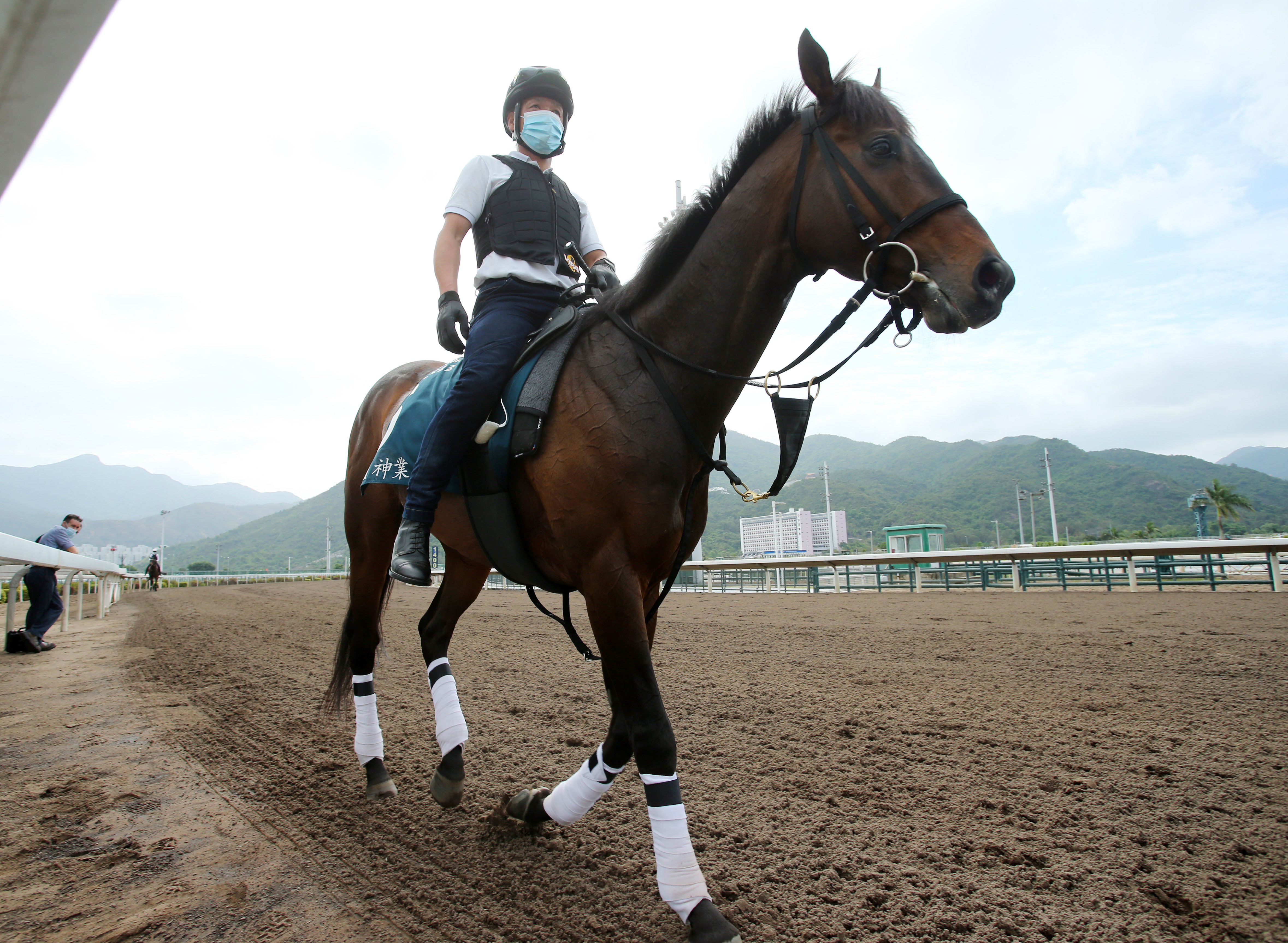 Kiseki returns to the stables after working on the all-weather surface. Photos: Kenneth Chan 