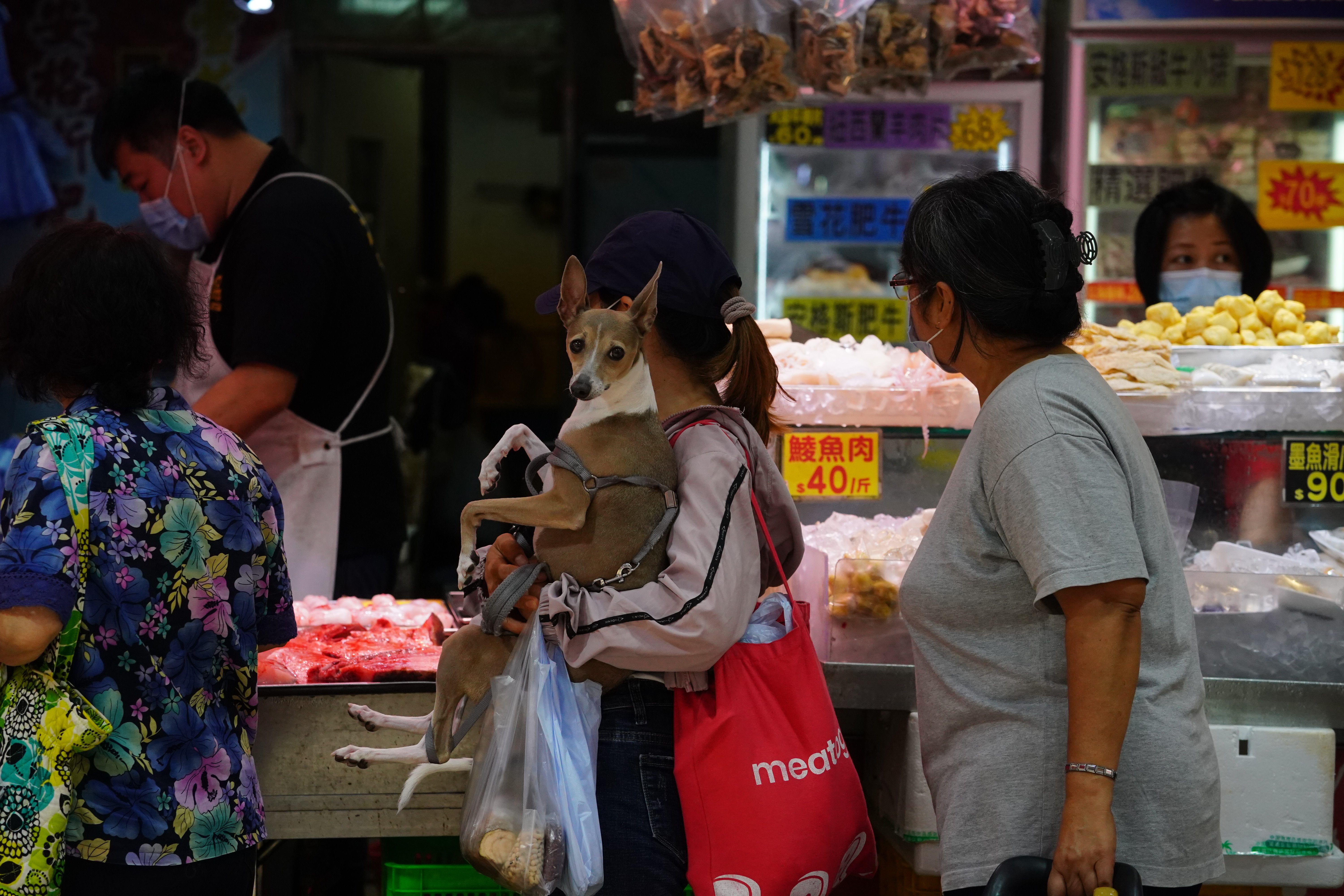 People queue up to buy food at a wet market in North Point on March 31. Smaller businesses could miss out on the benefits of the city’s digital voucher scheme. Photo: Felix Wong
