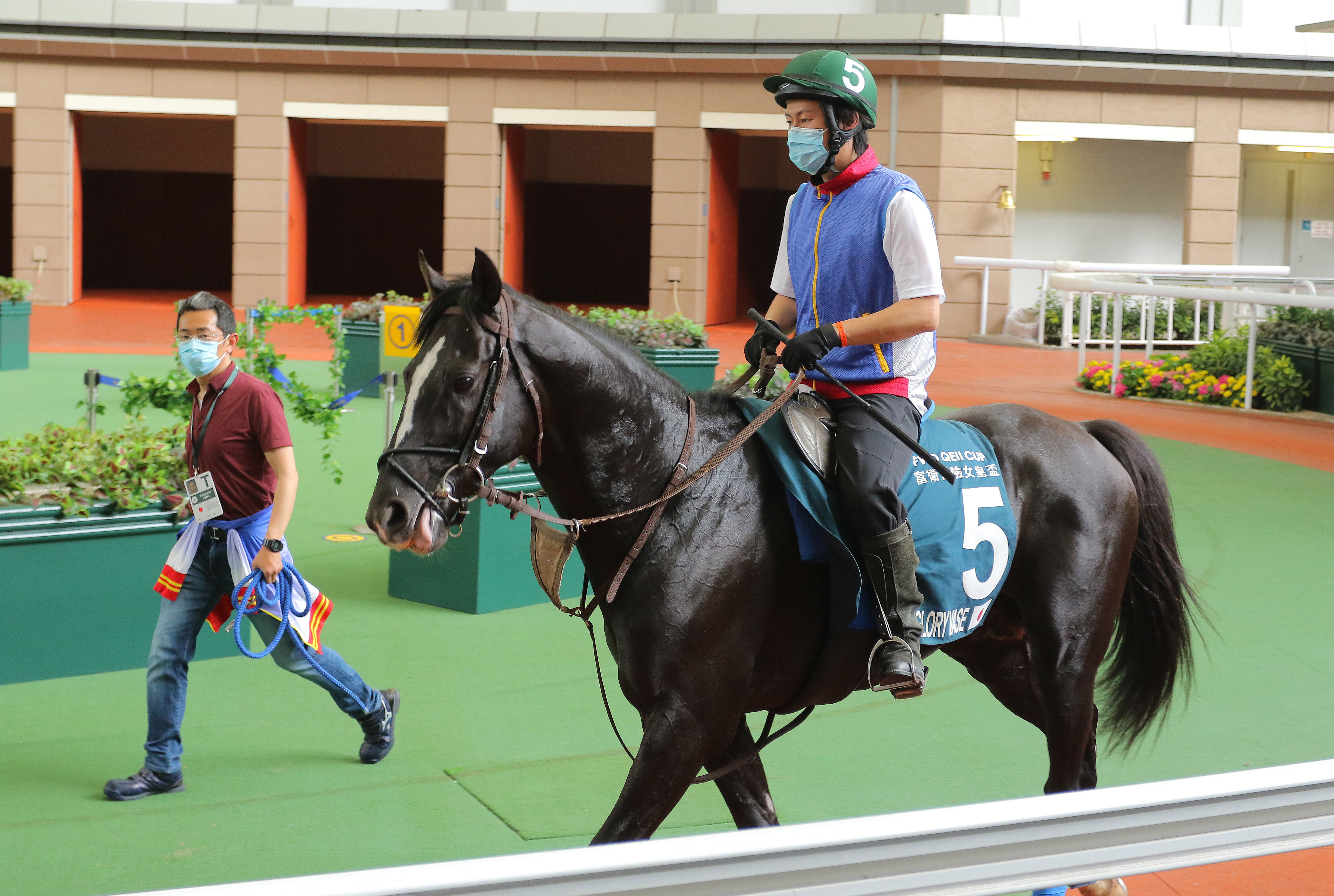 Glory Vase walks around the parade ring at Sha Tin on Saturday morning with trainer Tomohito Ozeki looking over him. Photos: Kenneth Chan