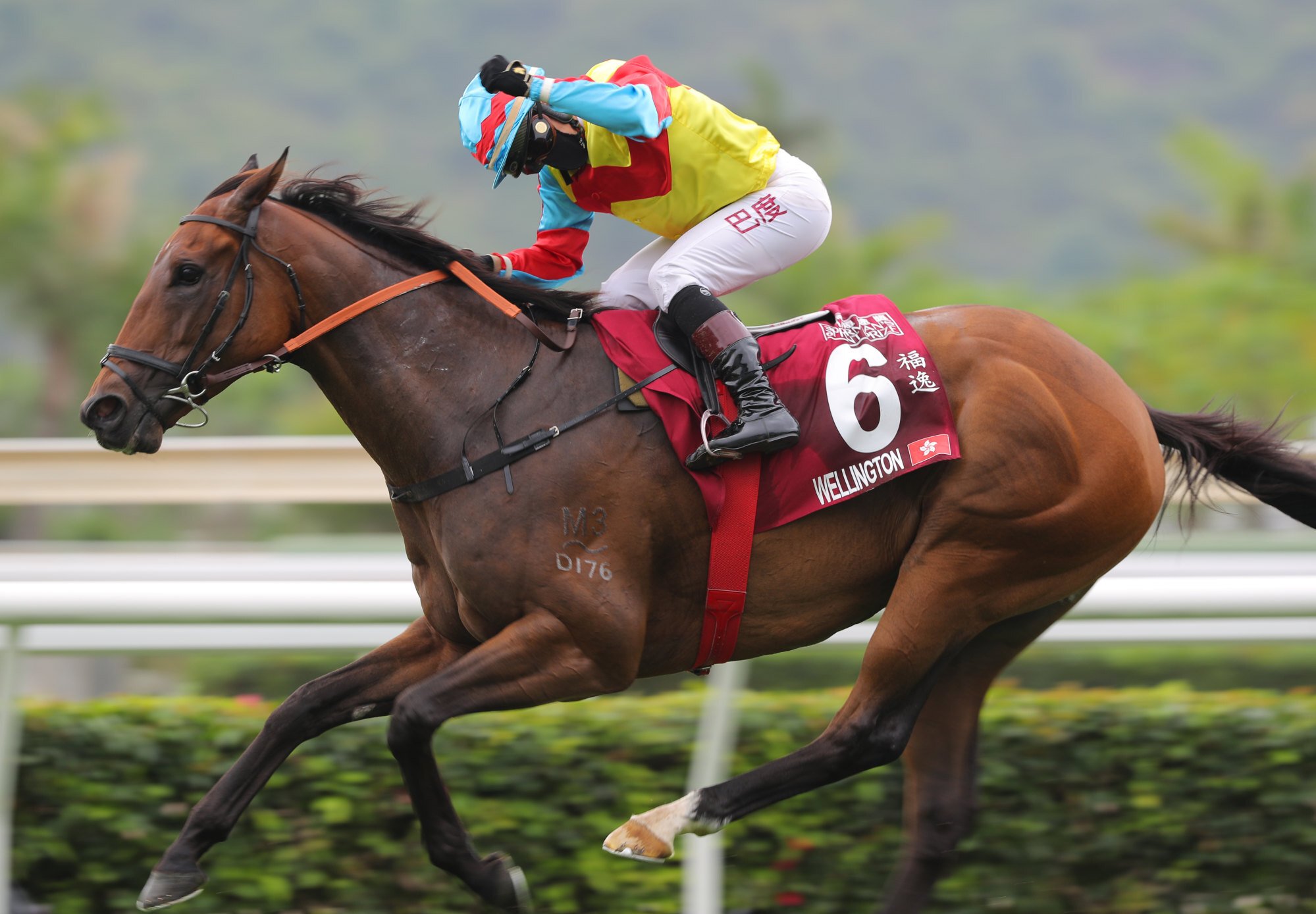 Alexis Badel fist pumps after winning the Chairman’s Sprint Prize on Wellington. 