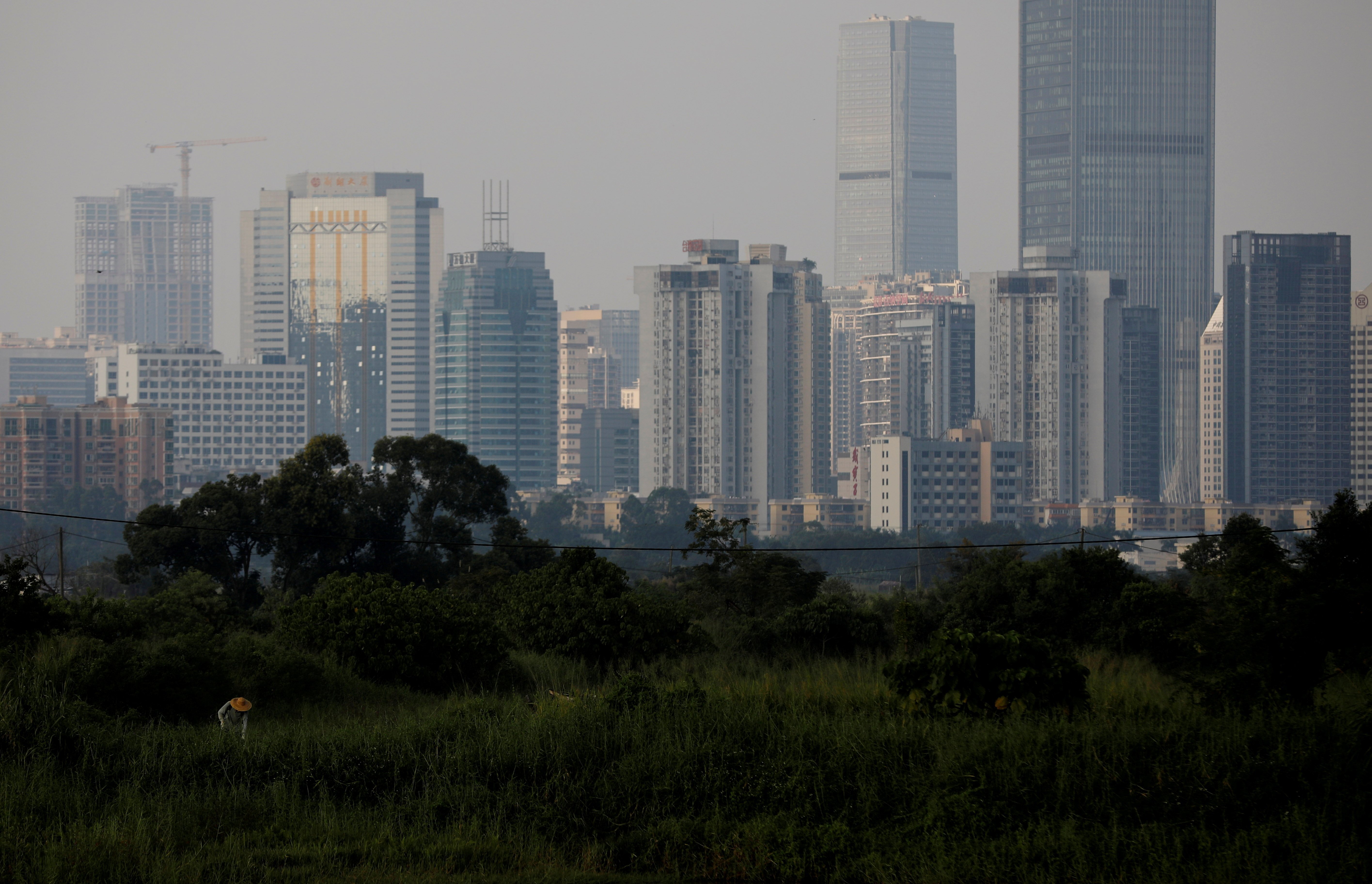 The high rises of Shenzhen as seen from a farm in Hong Kong. Shenzhen plans to add 363.3 hectares for residential purposes this year. Photo: Reuters