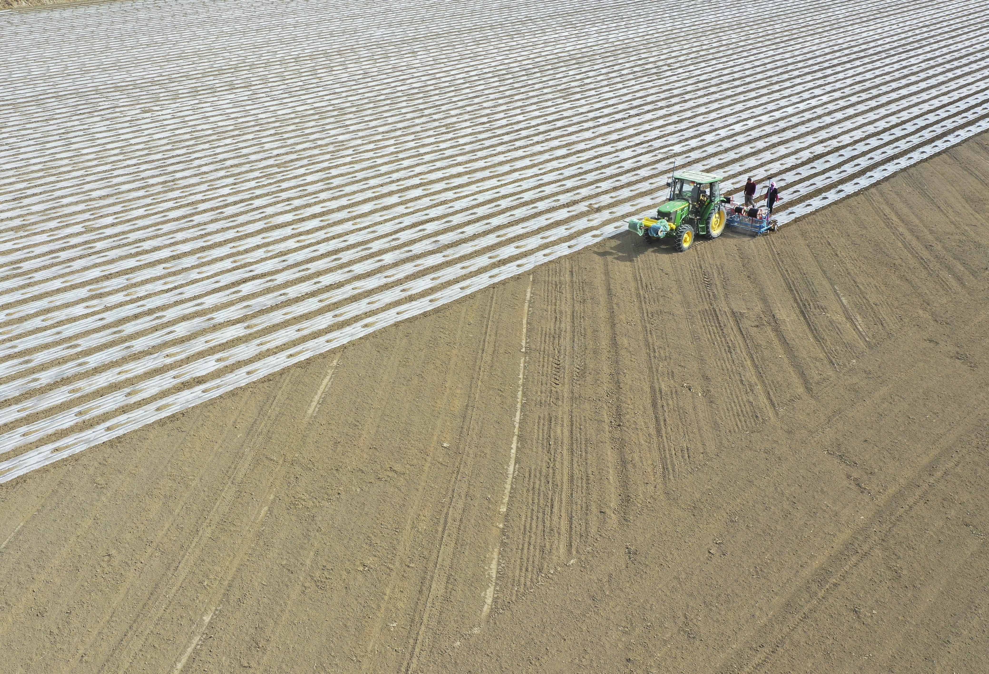 Farmers cover field with plastic films in Yuli County, Xinjiang, on March 28, 2021. Photo: Xinhua