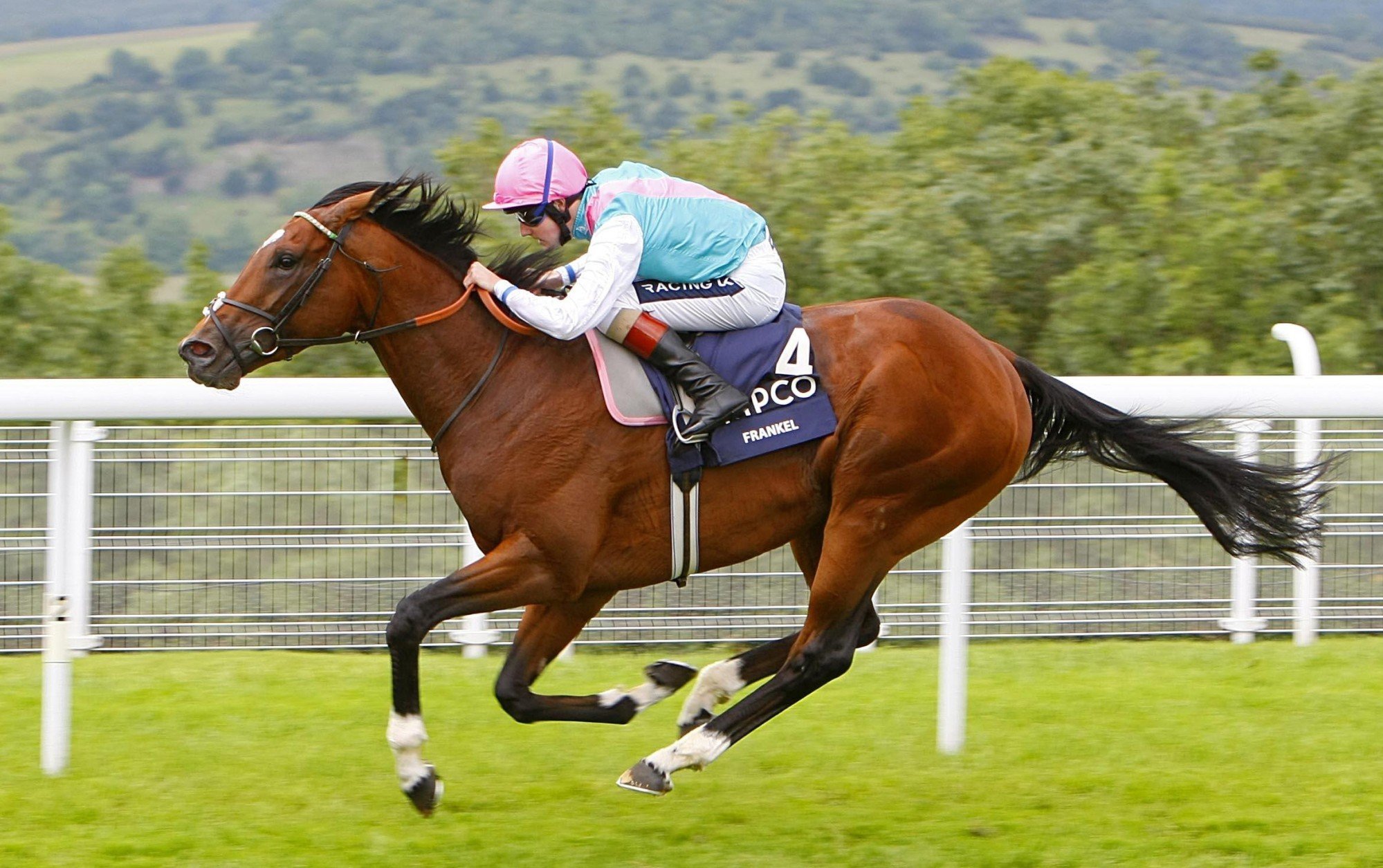 Frankel wins the Sussex Stakes at Goodwood in 2011. Photo: AP Photo/Chris Ison