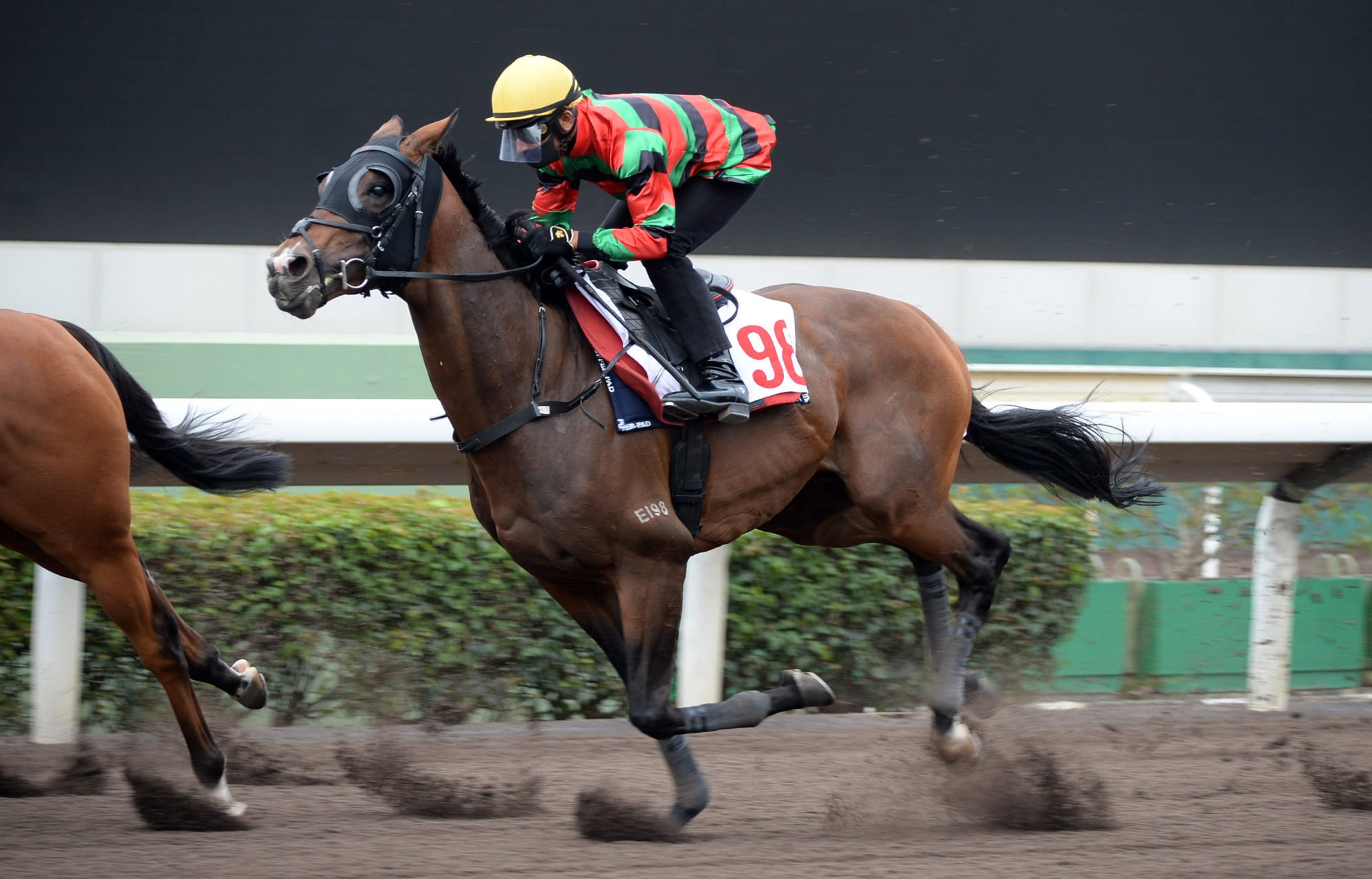 Russian Emperor trials on the all-weather surface at Sha Tin last week. 