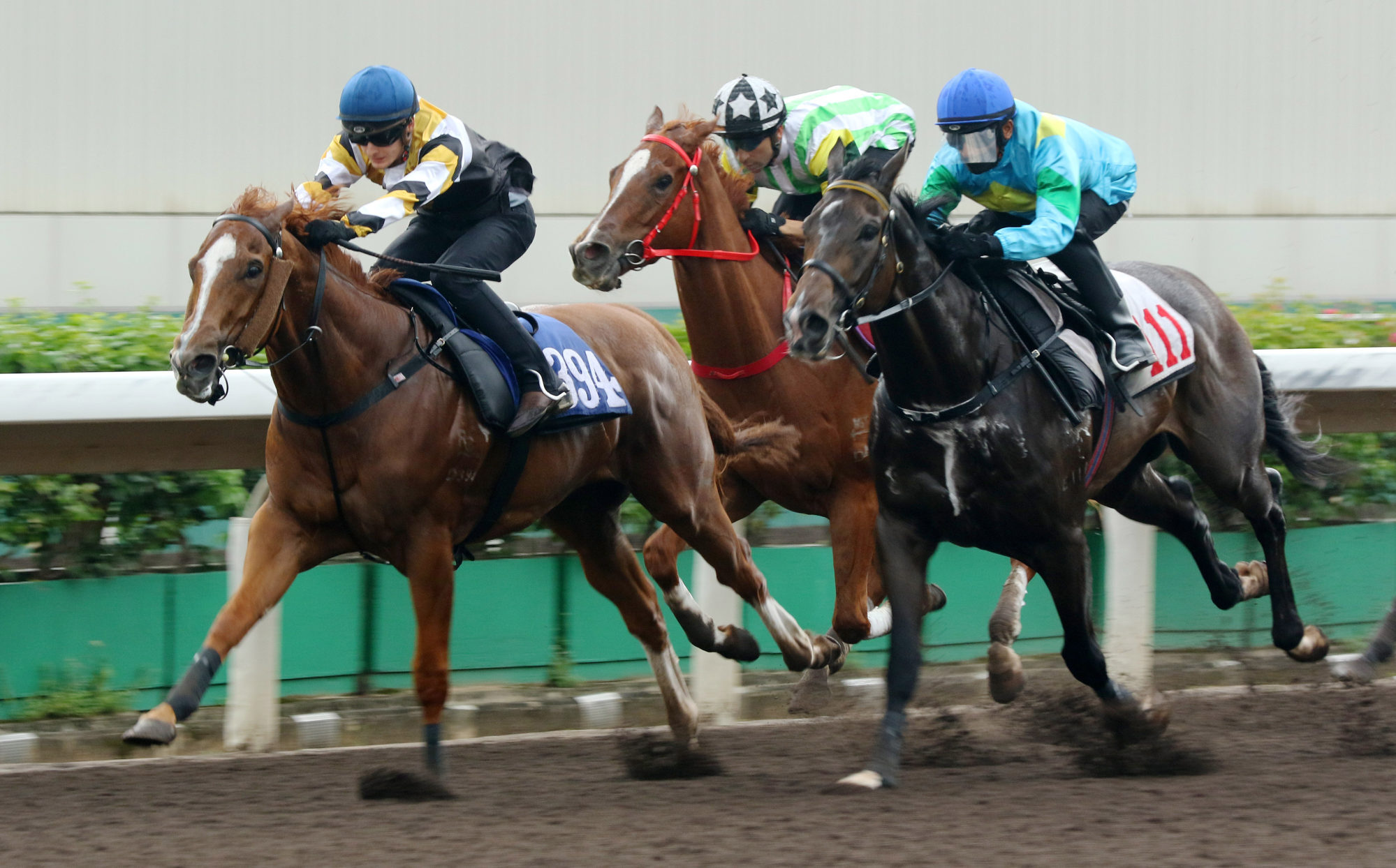 Harry Bentley guides Czarson home in a barrier trial last week.