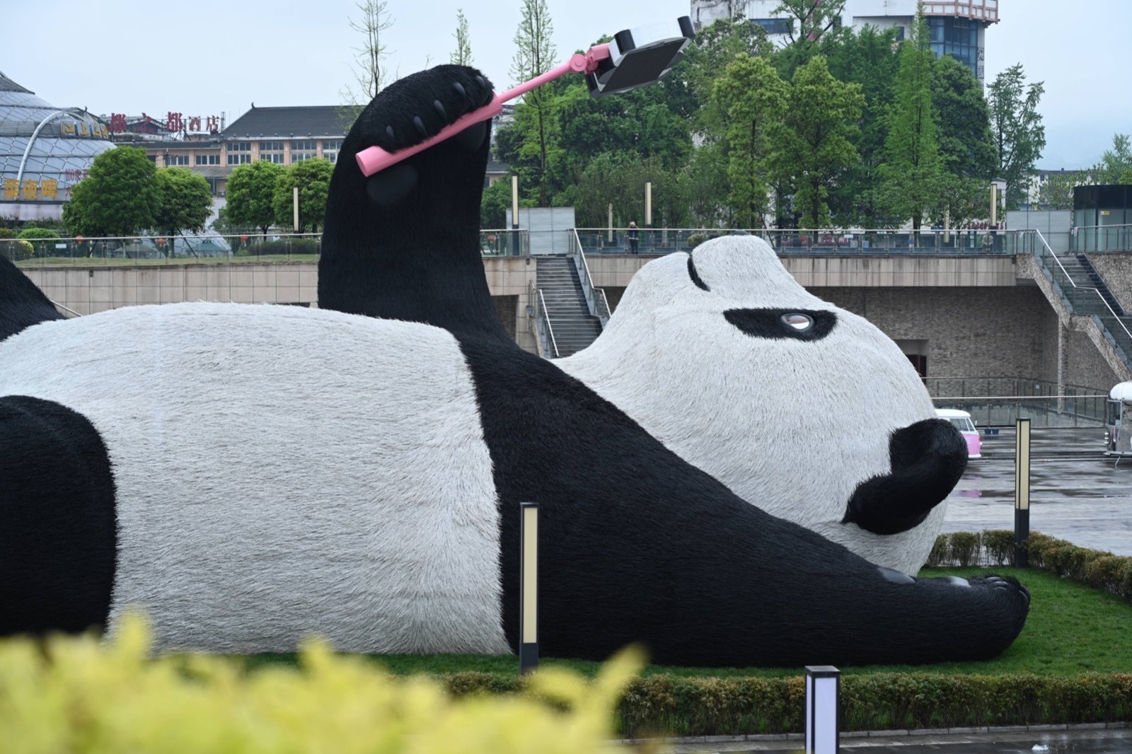 A view of “Selfie Panda”, a sculpture by Dutch artist Florentijn Hofman installed in Dujiangyan in China’s Sichuan province. Photo: SIPA Asia via ZUMA Wire/dpa