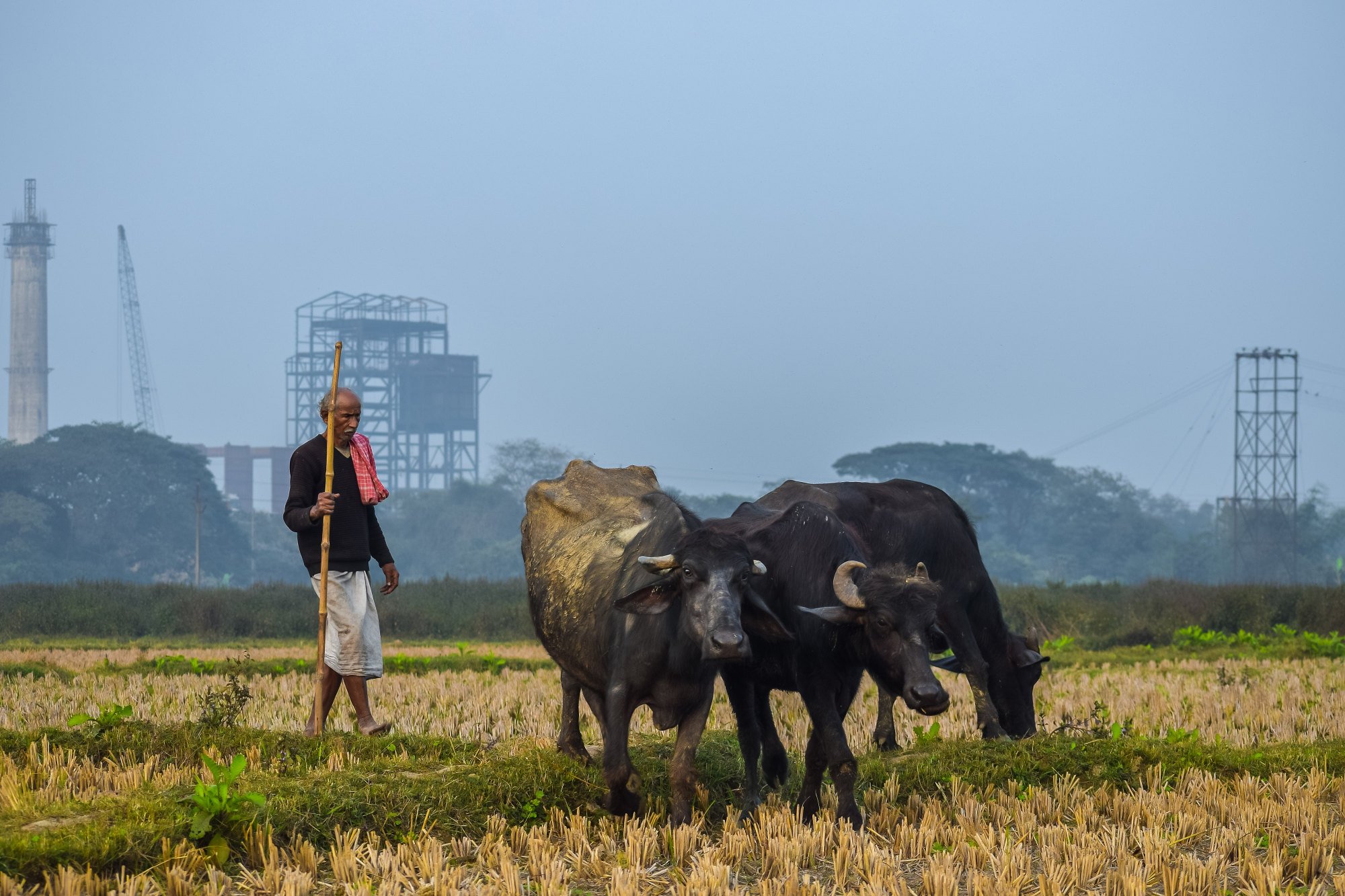 As the pandemic worsened, Dahal returned home to her parents in Kharagpur in the eastern state of West Bengal. Photo: Shutterstock