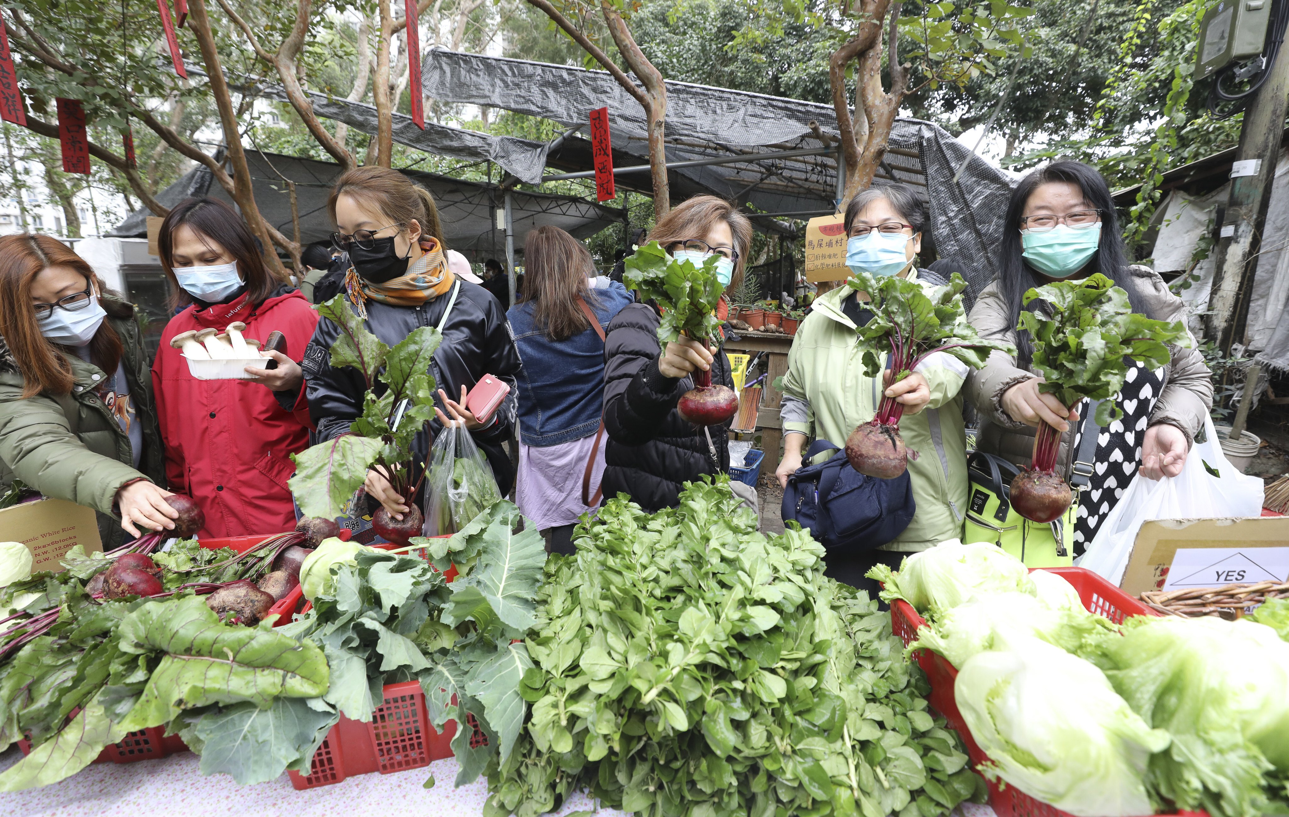 Shoppers buying locally grown vegetables at Mapopo Community Farm in Ma Shi Po village in Fanling on February 9, 2020. Photo: Dickson Lee
