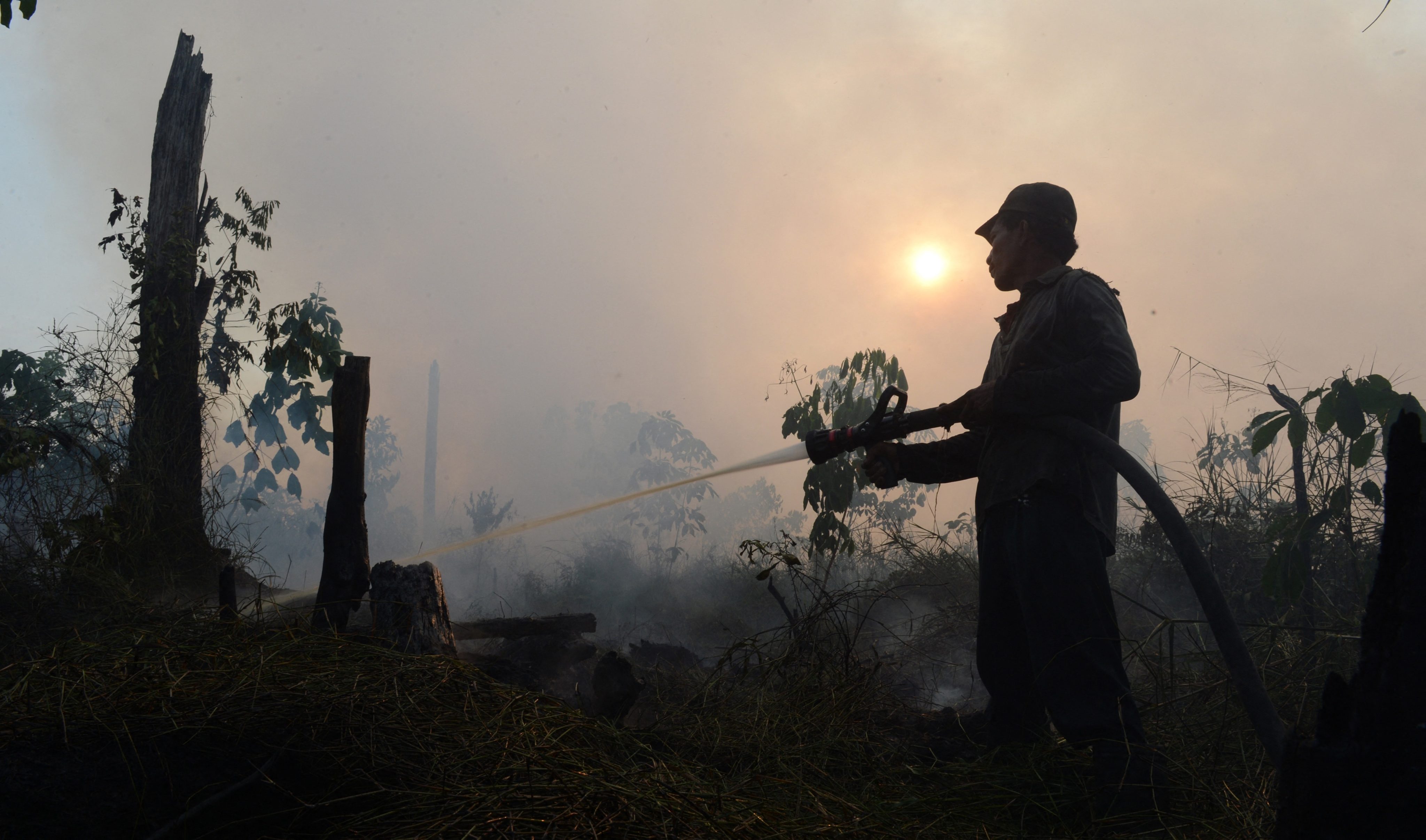 An Indonesian worker from a palm oil concession company extinguishes a forest fire in Sumatra, Indonesia. Illegal land clearing for palm oil plantations is common, causing smog and habitat loss for endangered wildlife. Photo: AFP