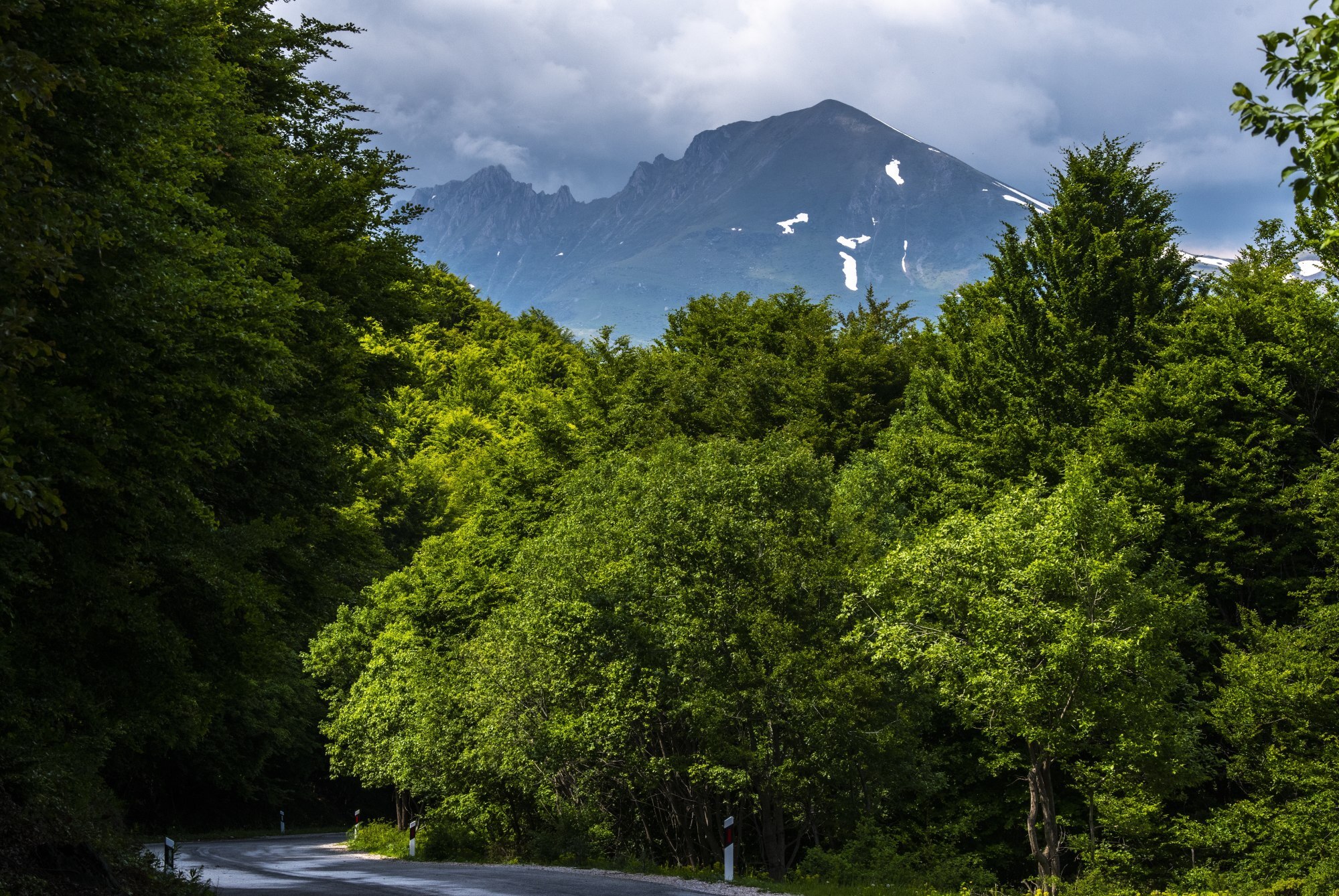 Forests and mountains in the new national park. Photo: EPA-EFE