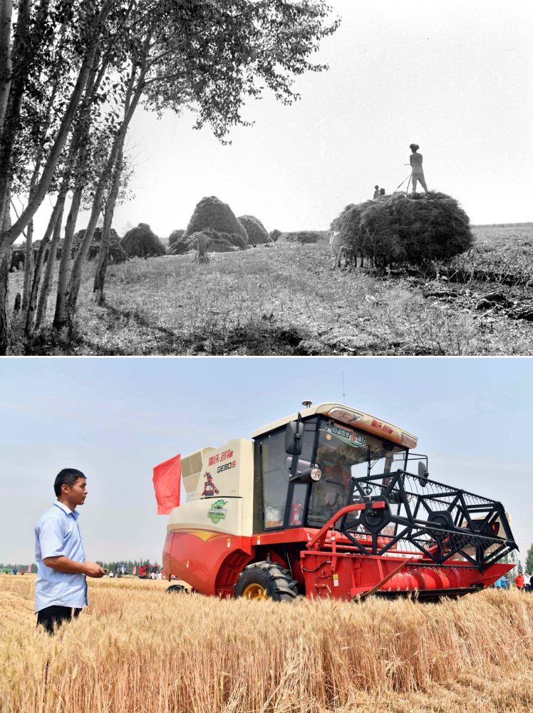Farmers working in China in 1949, and 2019. The Communist Party prevailed in 1949 because it represented the rural peasantry. Photo: Xinhua