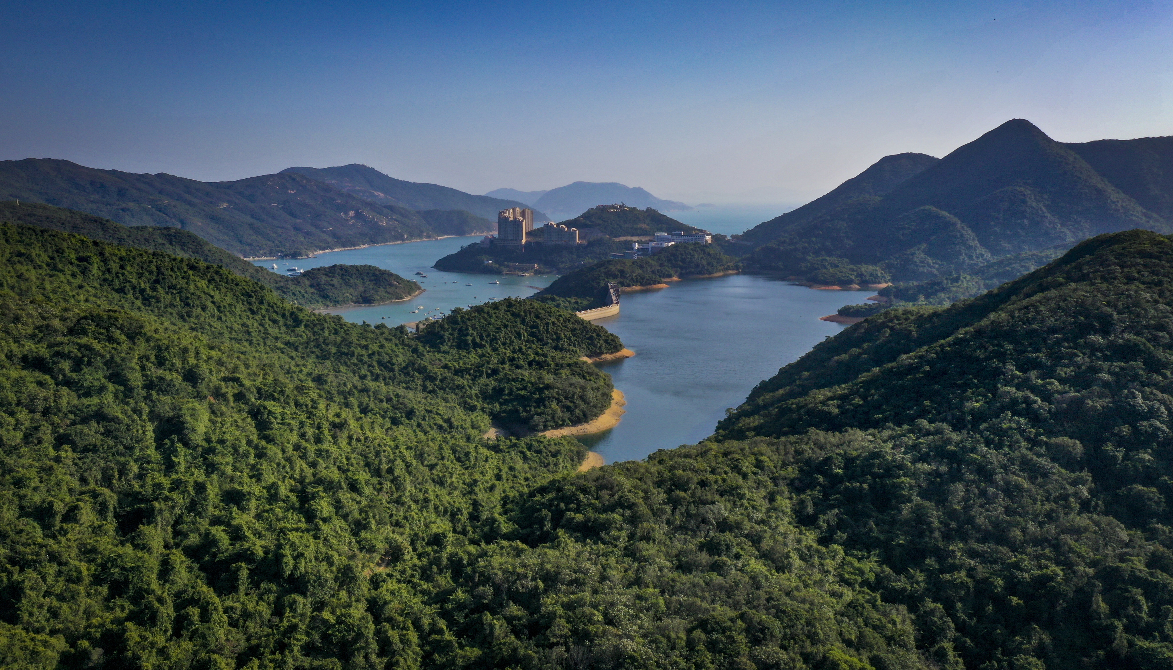 Tai Tam Reservoir on Hong Kong Island is surrounded by hills covered in forest. Tree cover has expanded a lot since the 1940s, but native tree and plant species have been crowded out by imports, something researchers hope to redress.  Photo: James Wendlinger