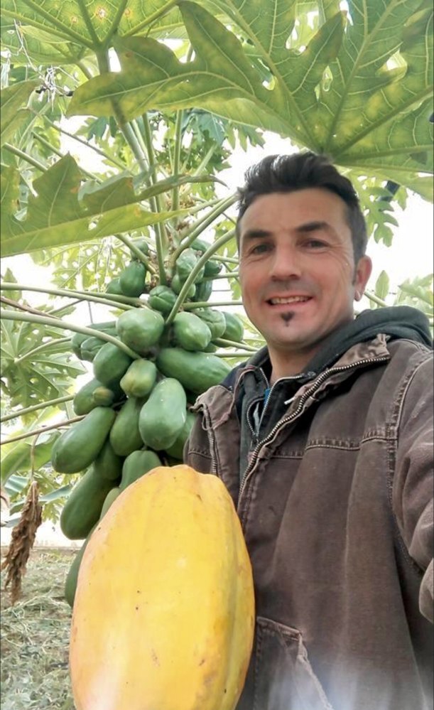 Rosolino Palazzolo holding a huge papaya. Photo: the Palazzolo family
