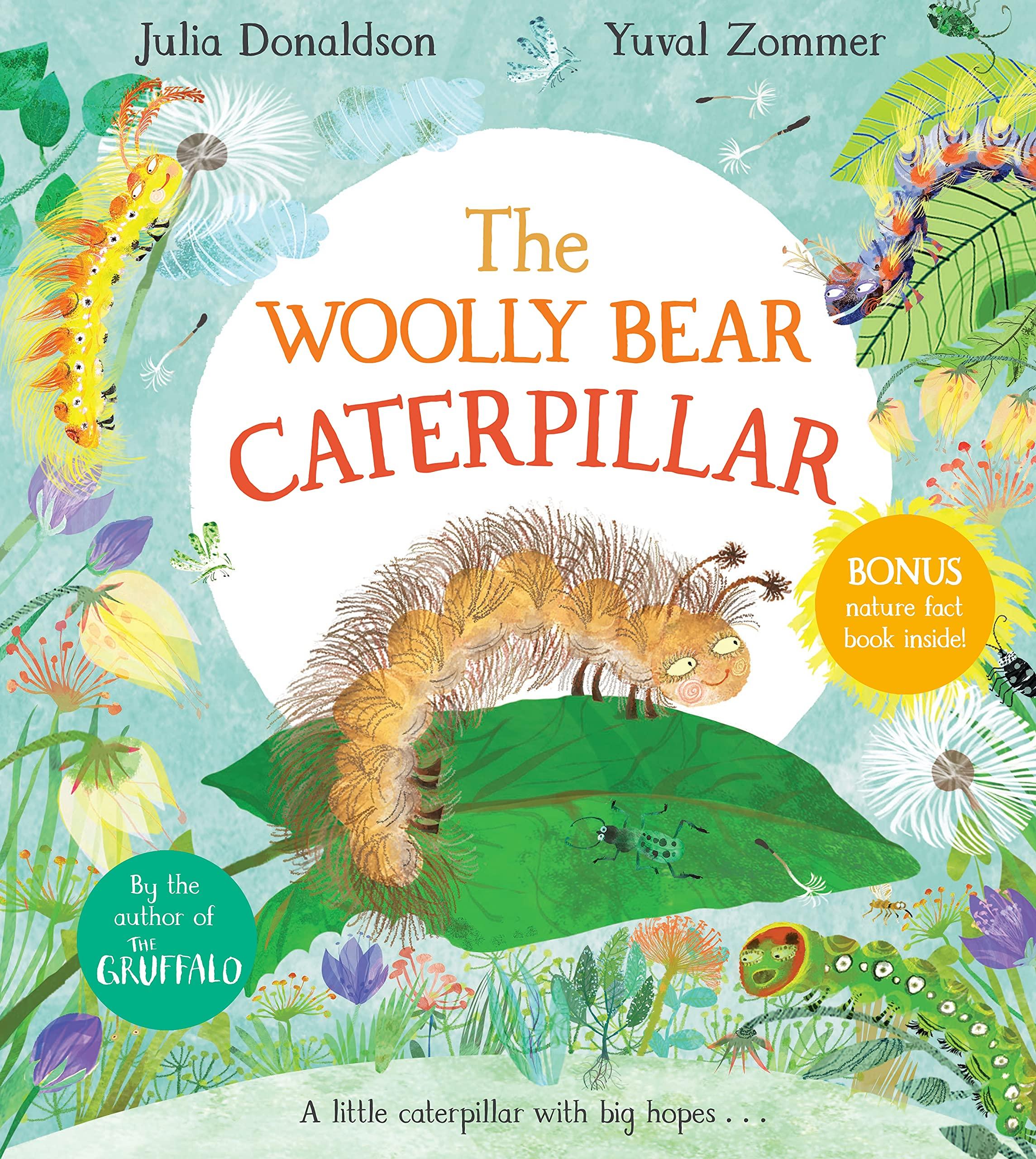 Handout image shows book Julia Donaldson’s The Woolly Bear Caterpillar.jpeg