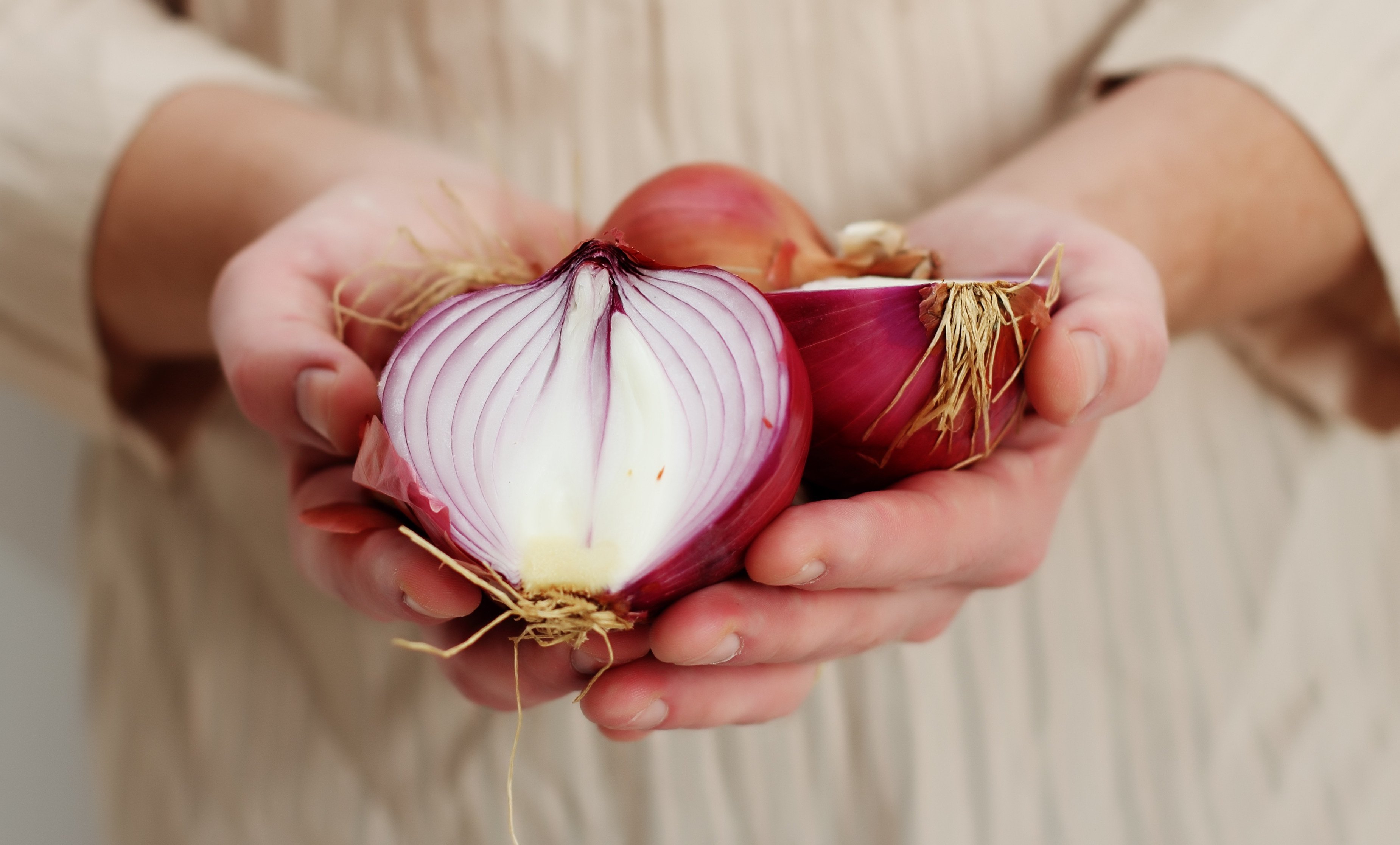 Onions and garlic, superfoods we should love – how to prepare and cook  them, and how to deal with garlic breath | South China Morning Post