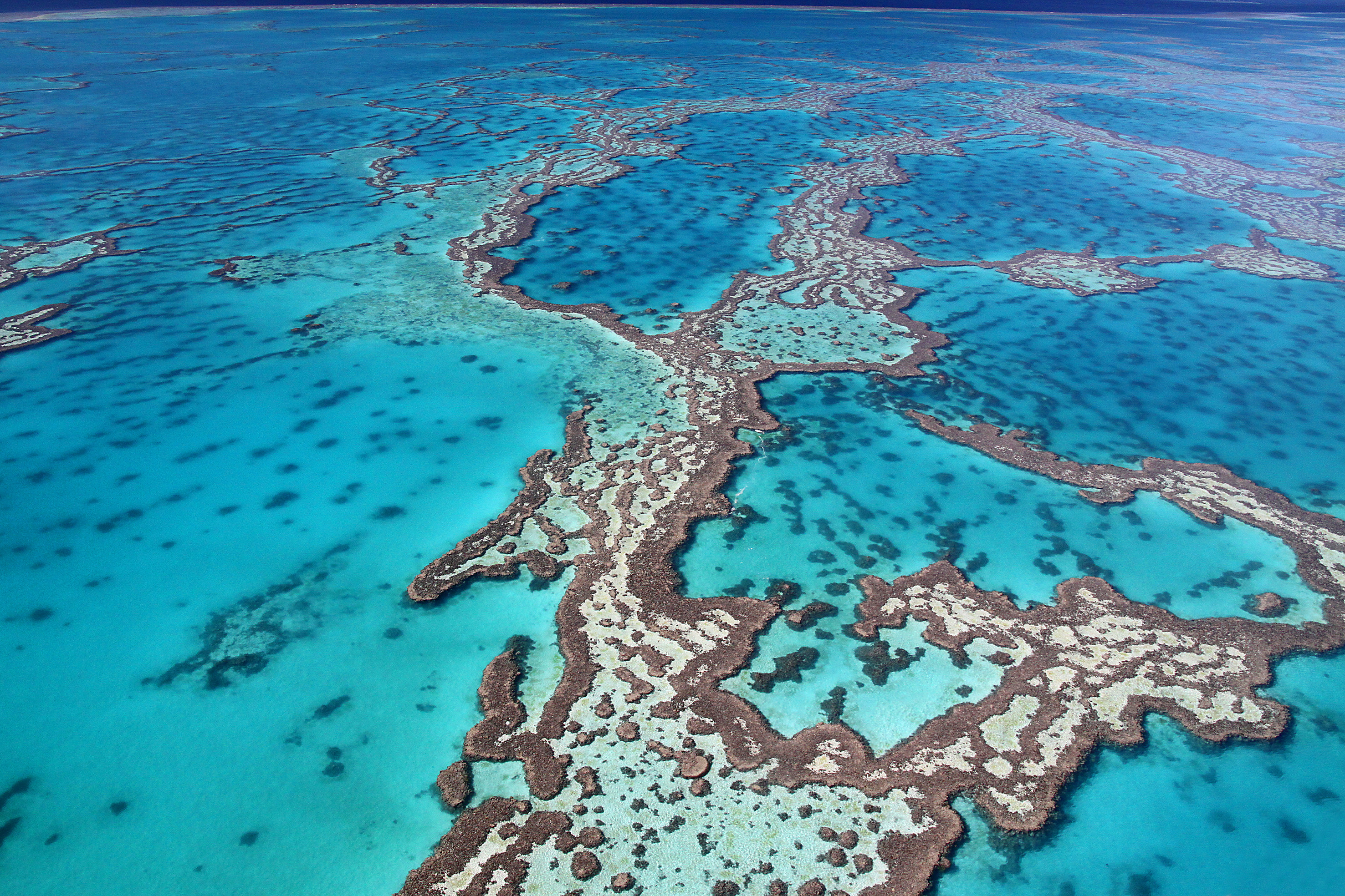 Большой барьерный риф ответ. Большой Барьерный риф у берегов Австралии. Большой коралловый риф в Австралии. Австралия Барьерный риф кораллы. Грейт барьер риф.