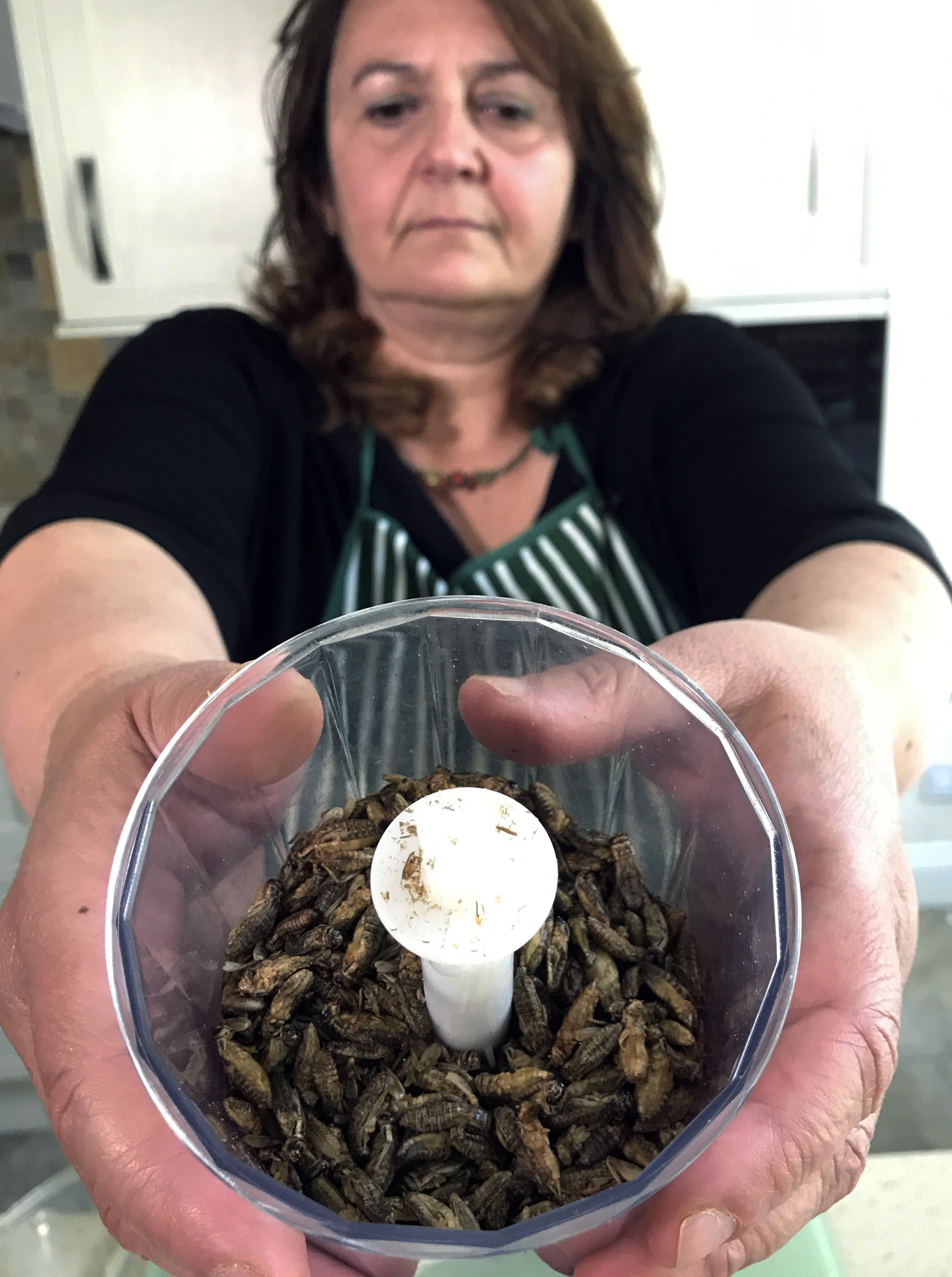 Tiziana di Costanzo, co-founder of Horizon Insects, holds up a cup of dried crickets to be ground up and added to pizza dough, in her London kitchen on June 2, 2021. While insects are commonly eaten in parts of Asia and Africa, they’re increasingly seen as a viable food source in the West as Earthâs growing population puts more pressure on global food production. Experts say theyâre rich in protein, yet can be raised much more sustainably than beef or pork. Regulatory change has also made things easier for European companies looking to market insects directly to consumers. (AP Photo/Kelvin Chan)