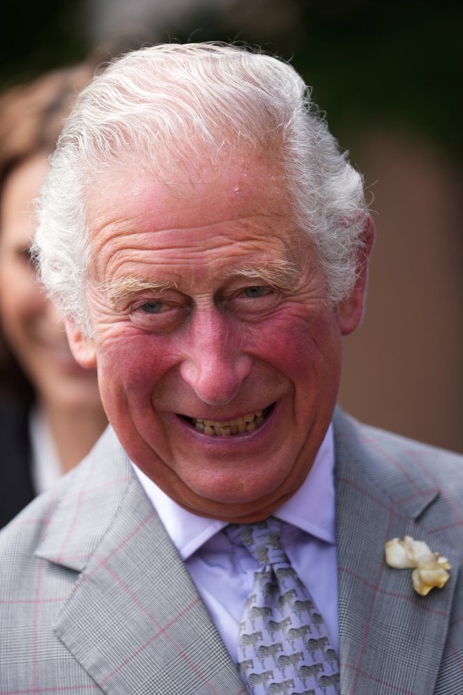 Britain’s Prince Charles gets a little help keeping his teeth clean. Photo: Reuters