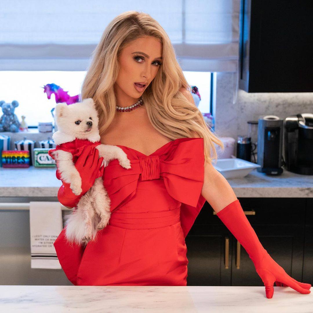 Paris Hilton and her pet as seen on her new Netflix show, Cooking With Paris, where she feeds her dog caviar. Photo: @parishilton/ Instagram