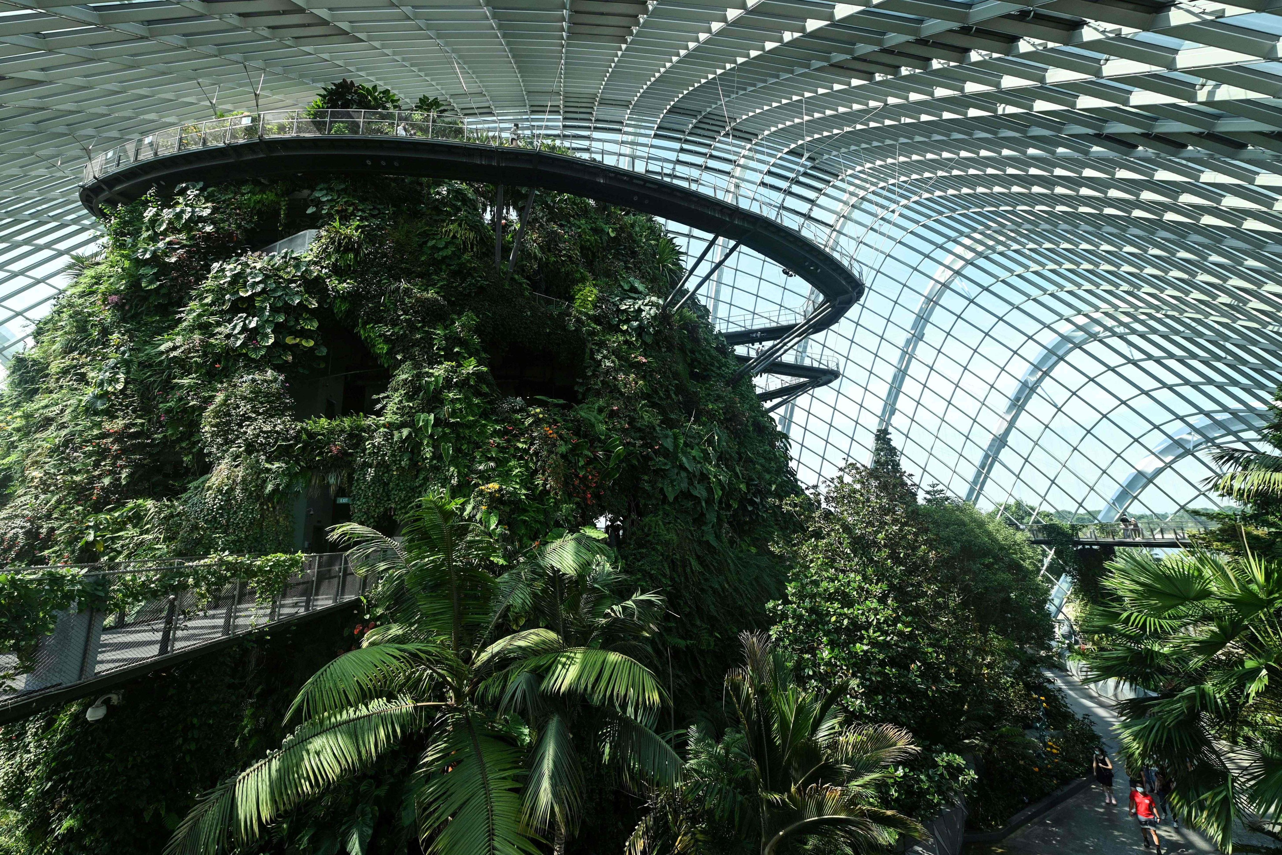 Singapore S Gardens By The Bay A New York Rooftop Farm Milan S Vertical Forests 7 Urban Green Initiatives Around The World But Are They All Worthwhile South China Morning Post