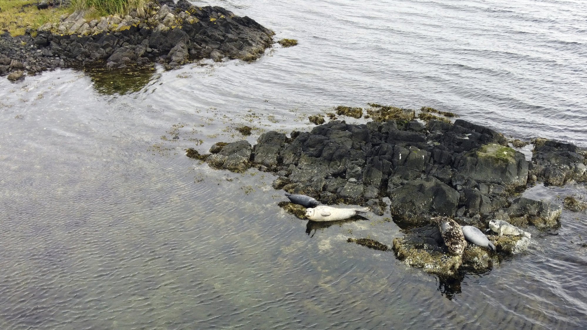 An offgrid getaway in Alaska’s remote Aleutian Islands abandoned Cold