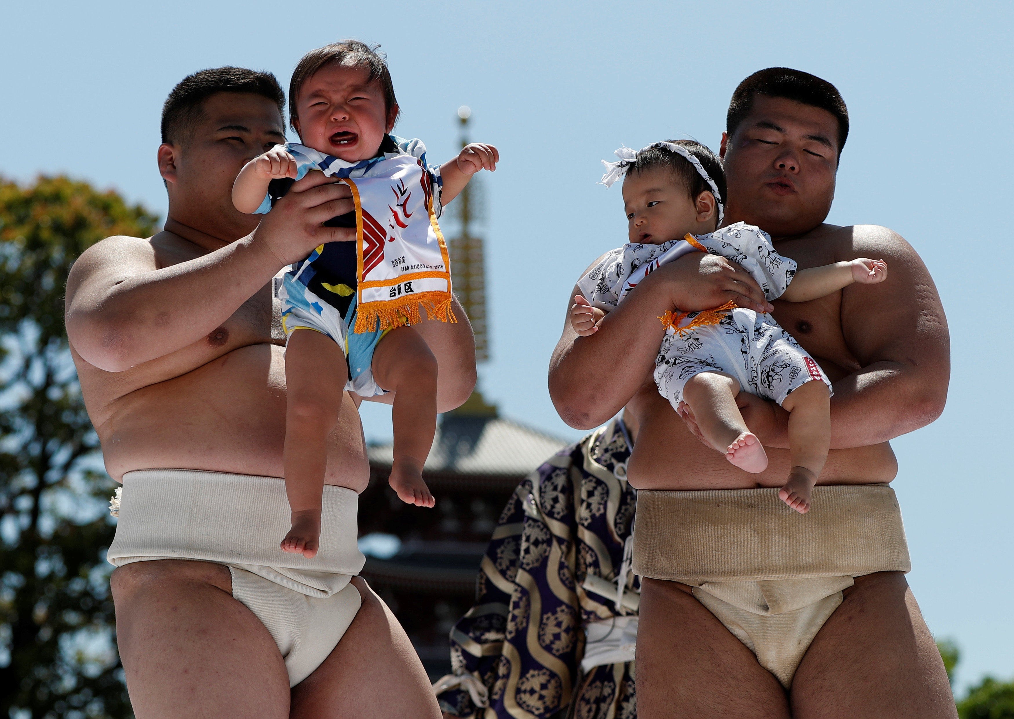 Amateur sumo wrestlers at a baby crying contest at Sensoji temple in Tokyo, Japan. Photo: Reuters