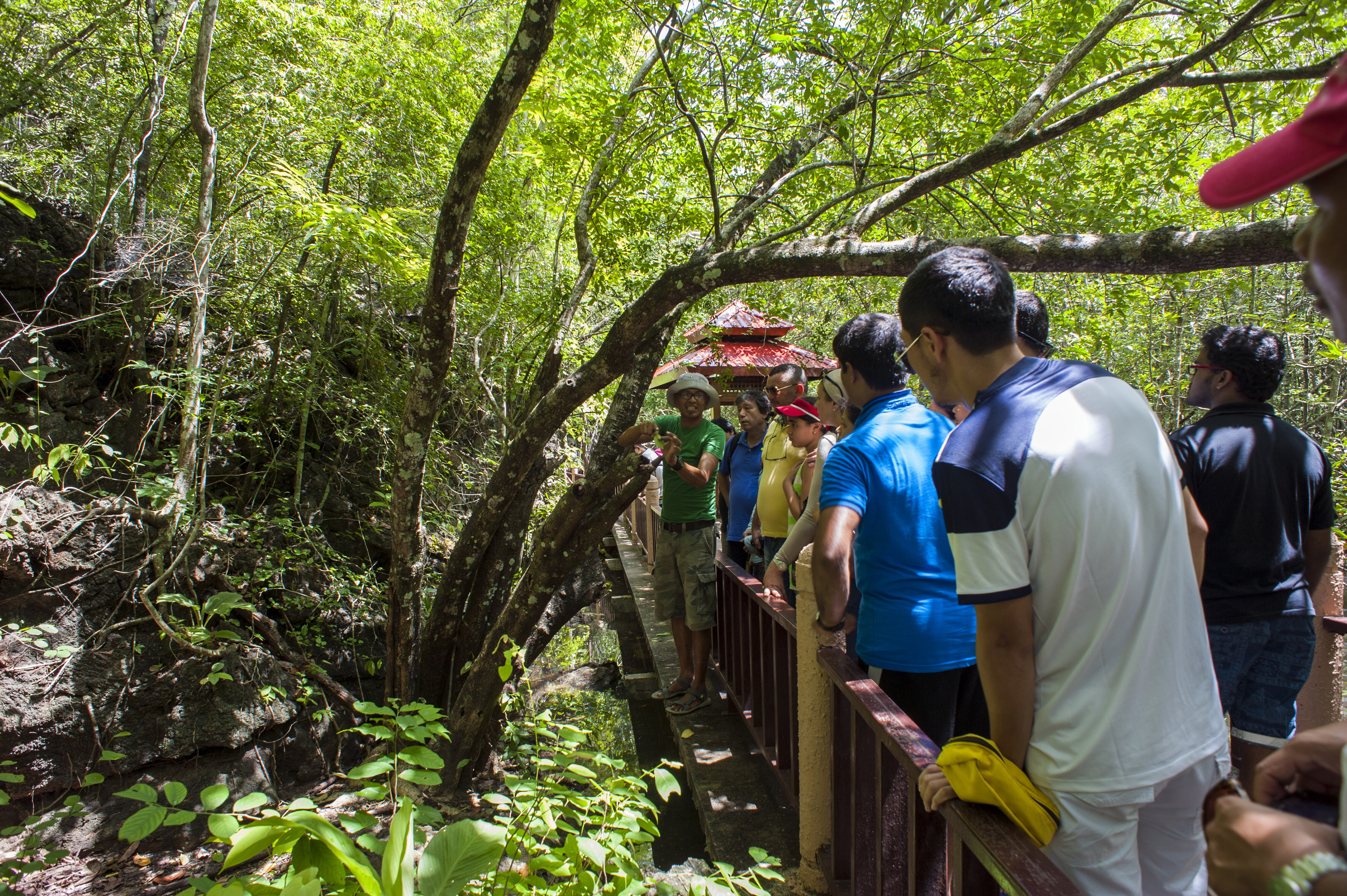 A guide explains the mangrove forest to tourists at Kilim Karst Geoforest Park in Langkawi. Photo by Leisa Tyler/LightRocket via Getty Images