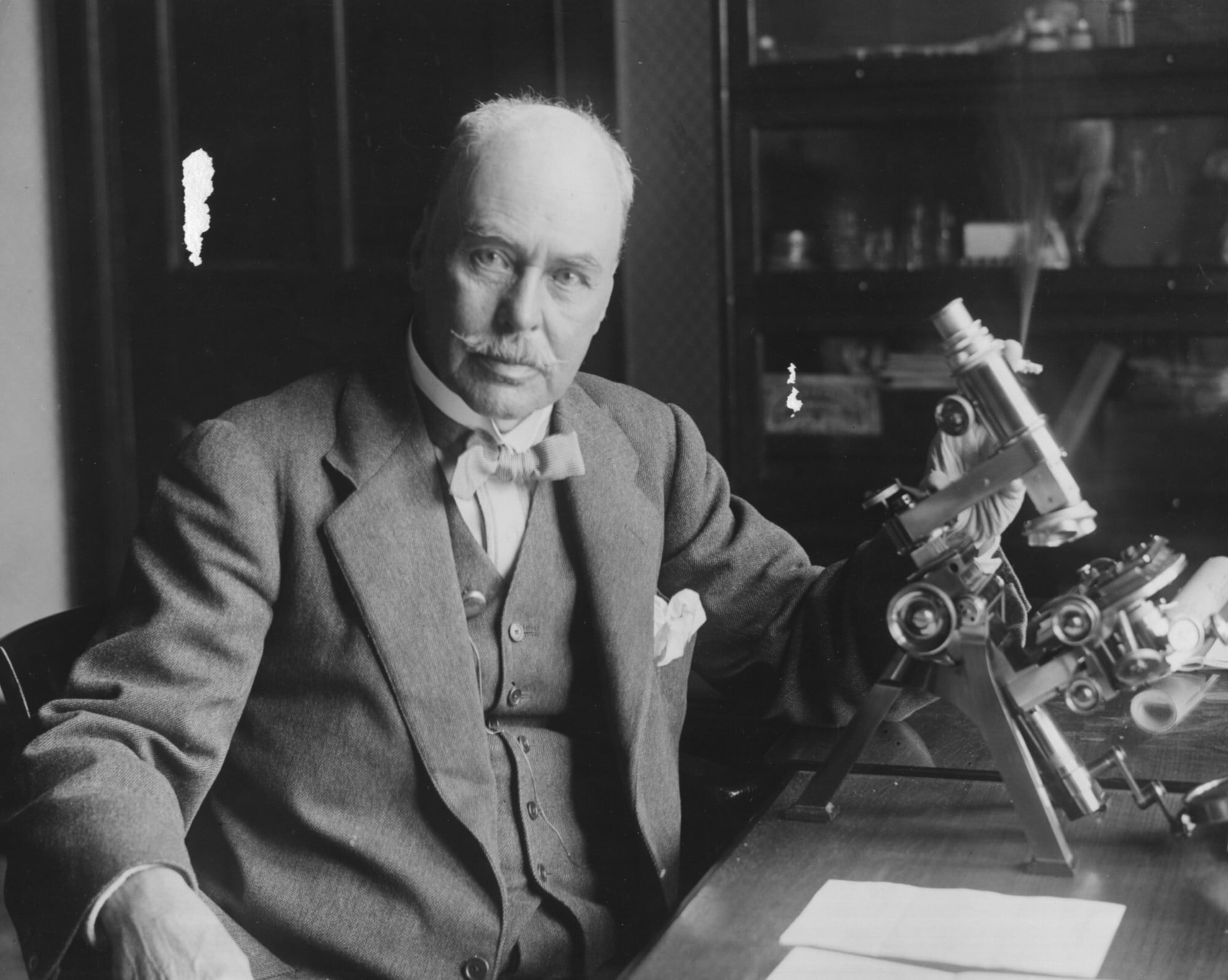 Opinion How The Mosquito Got Its Name And Why Samuel Johnson s opinion-how-the-mosquito-got-its-name-and-why-samuel-johnson-s