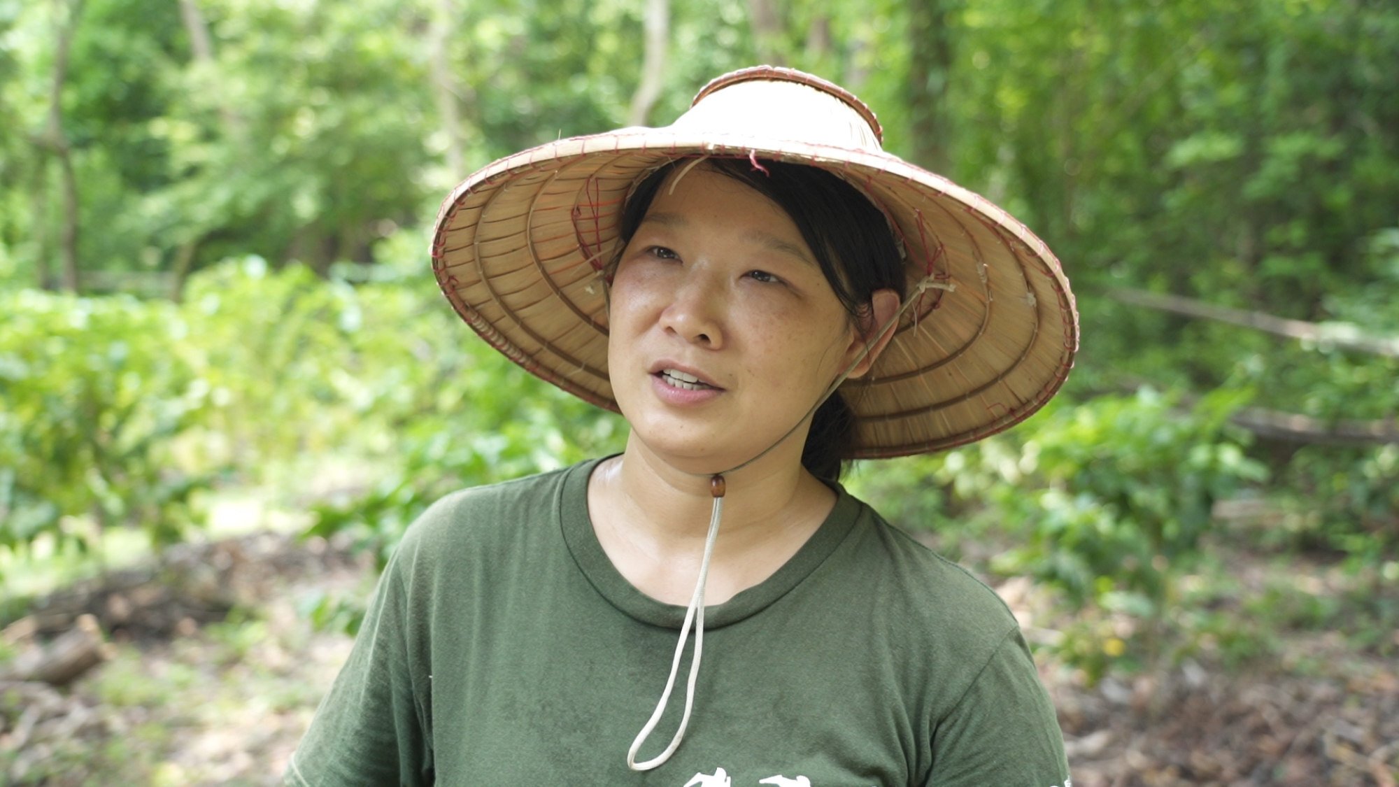 Angela So Lai-yee has been growing and tending to the coffee plants since 2017. Photo: Dayu Zhang
