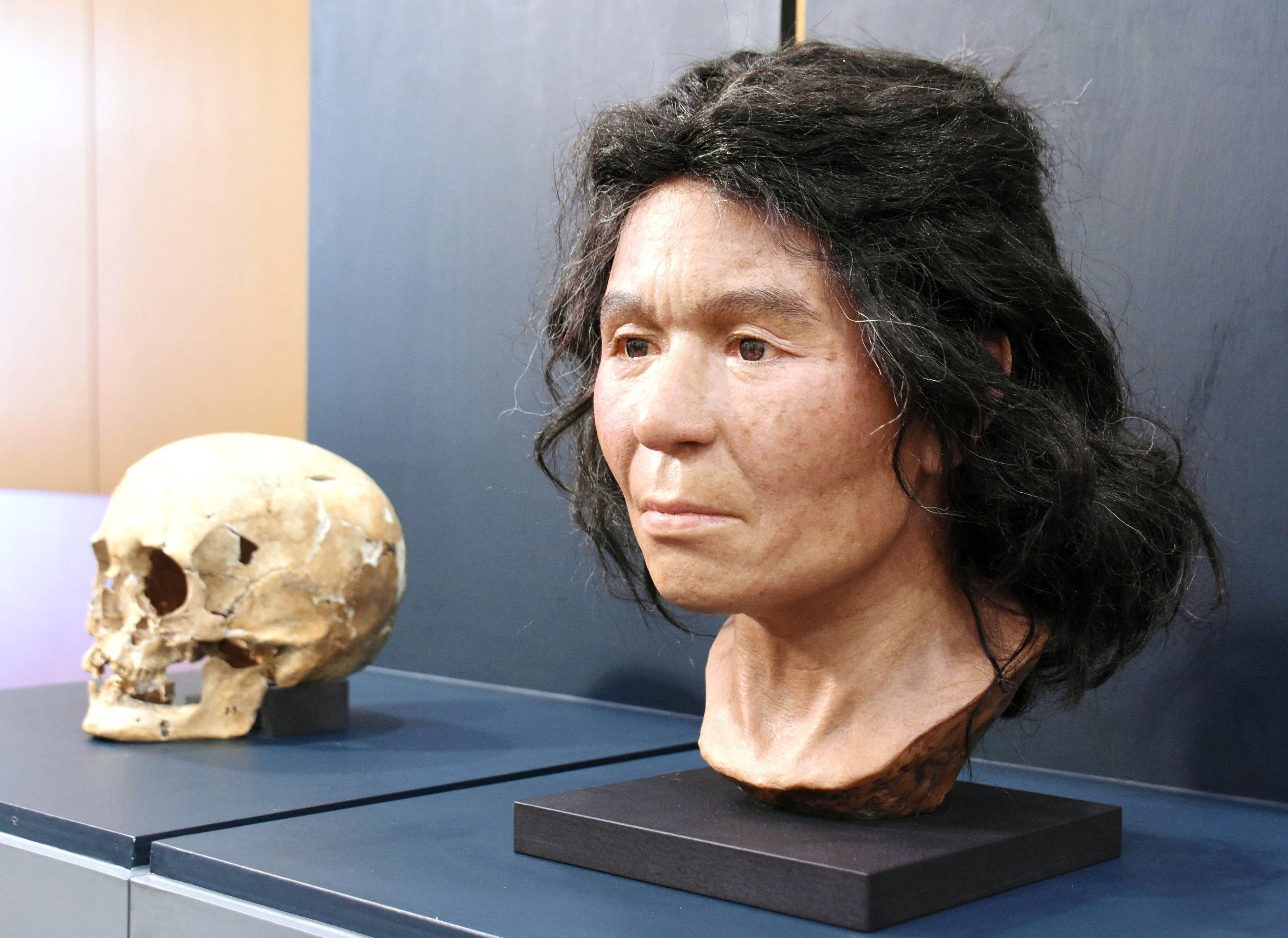 A woman’s skull from Japan’s prehistoric Jomon period, unearthed in Hokkaido, and a model face reproduced with the use of DNA technology. Photo: Getty Images