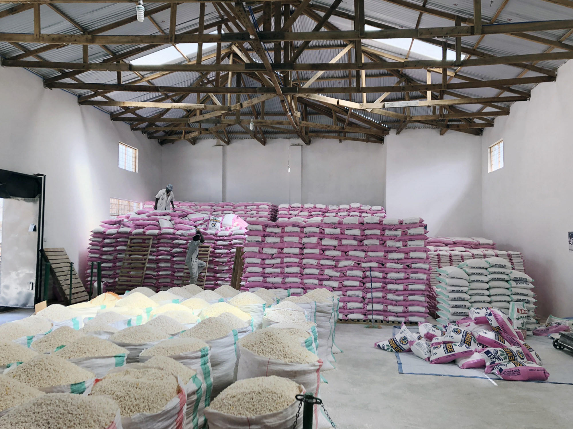 Brooks-church’s breakthrough project to tackle malnutrition was sparked by his aspiration to provide sound diets to 100 million children worldwide. Photo: Leah Kidd