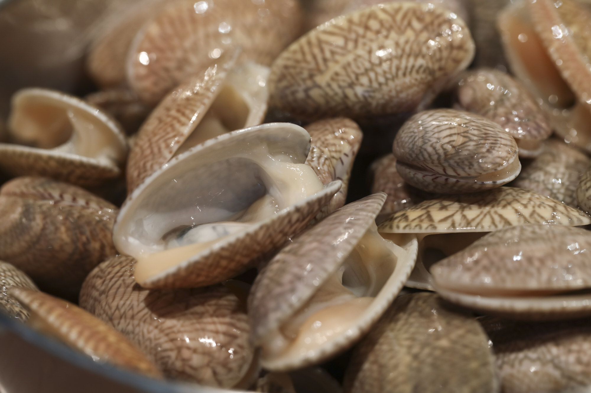 How to make sakesteamed clams with butter, leeks, seaweed and udon